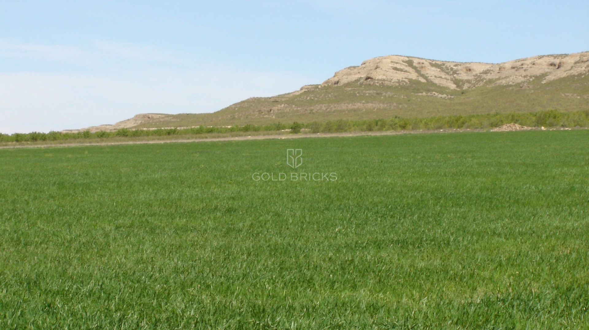 Plot - Land · Sale · Yecla · Yecla Centro