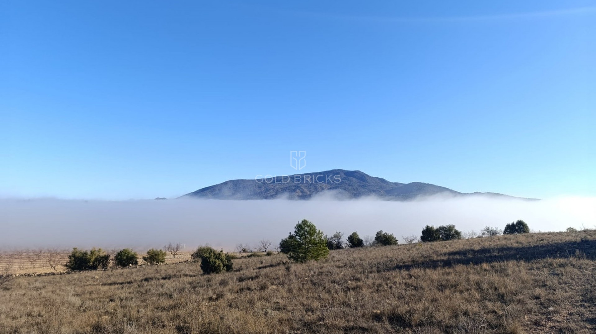 Plot - Land · Sale · Yecla · Yecla Centro