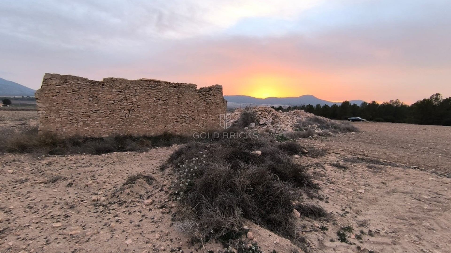 Plot - Land · Sale · Yecla · Yecla Centro