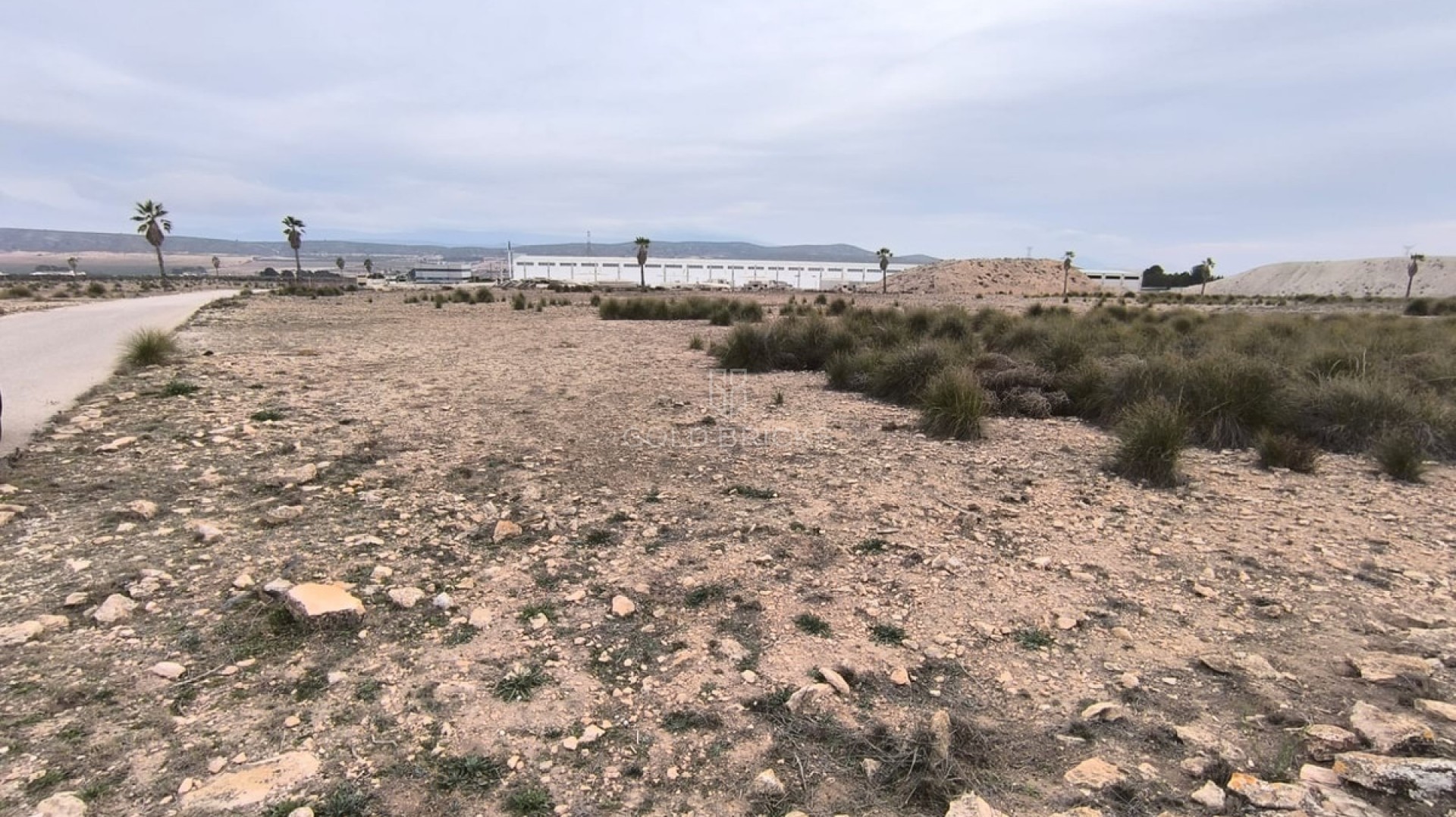 Plot - Land · Sale · Yecla · Yecla Centro