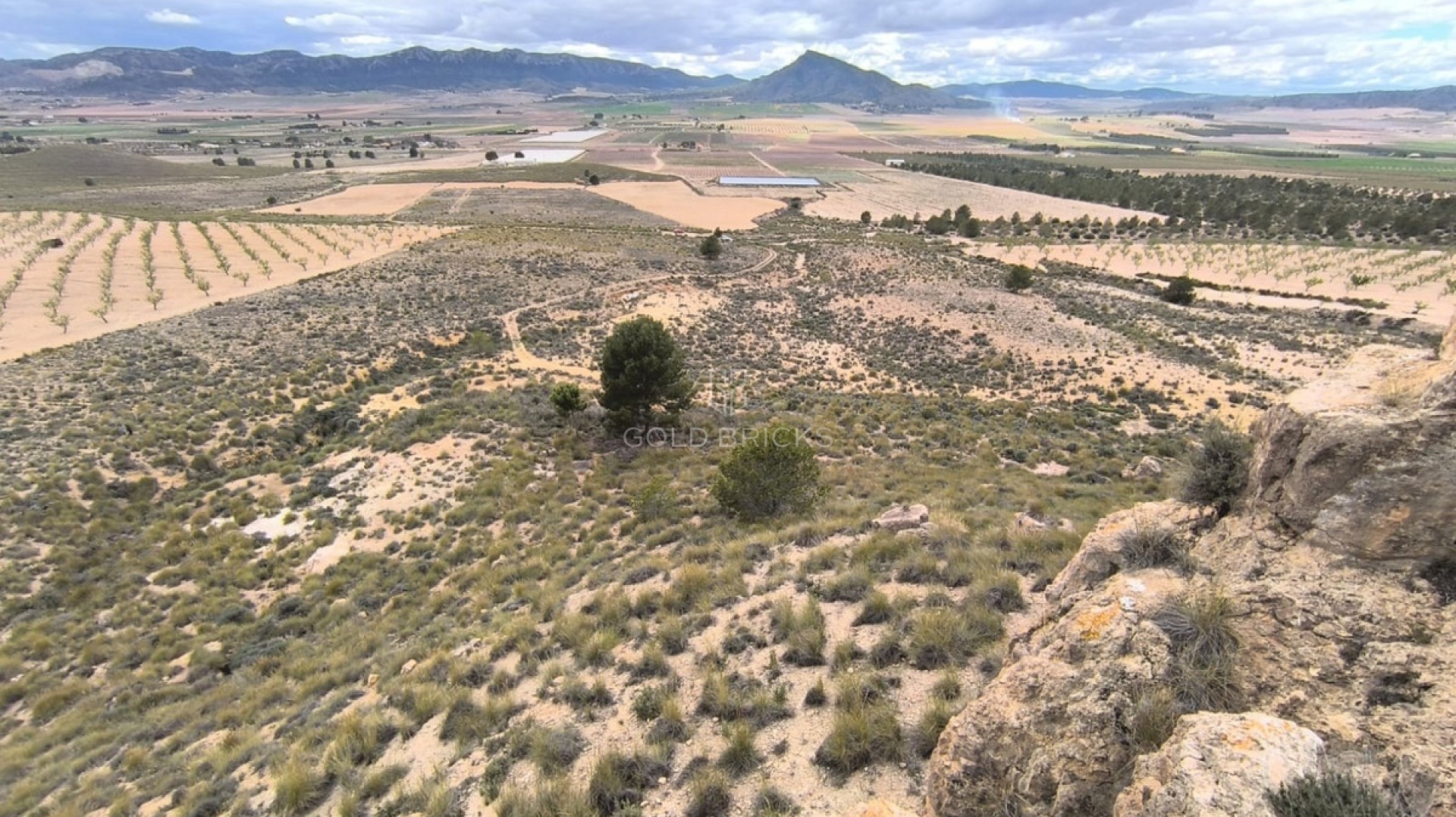 Plot - Land · Sale · Yecla · Yecla Centro