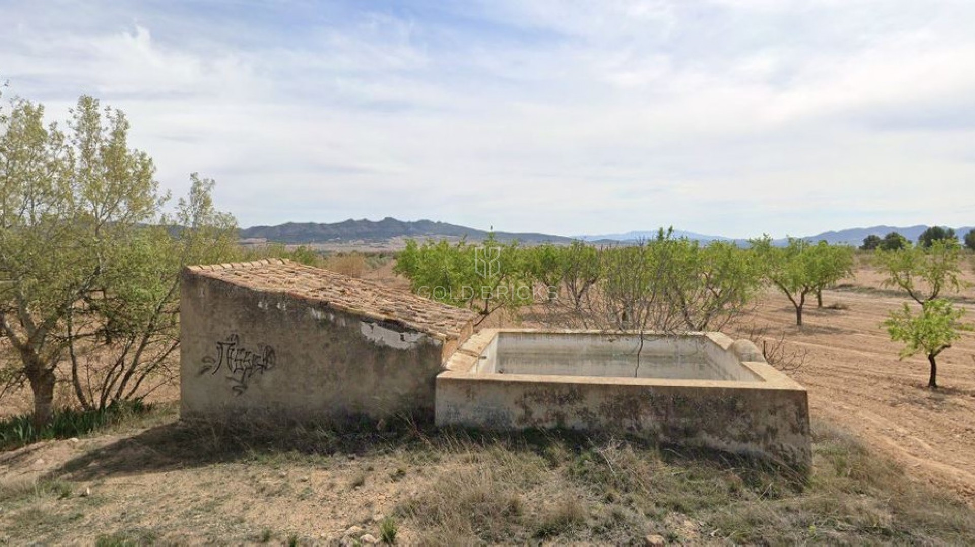 Plot - Land · Sale · Yecla · Yecla Centro