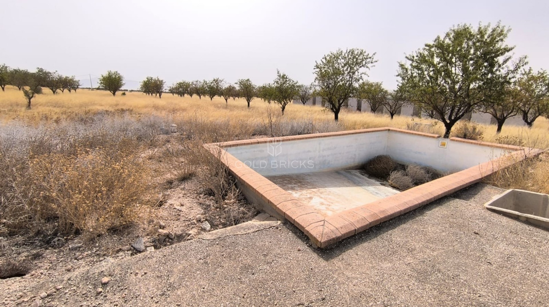 Plot - Land · Sale · Yecla · Yecla Centro