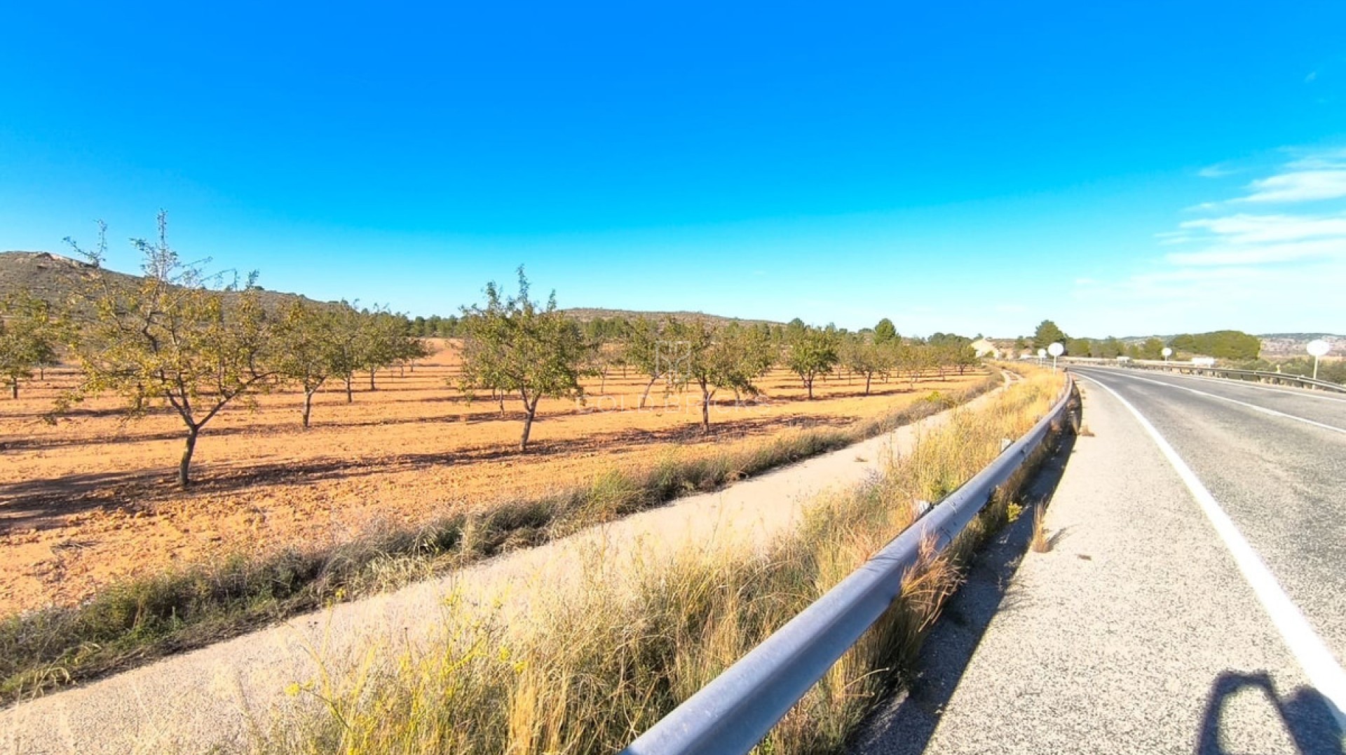 Plot - Land · Sale · Yecla · Yecla Centro