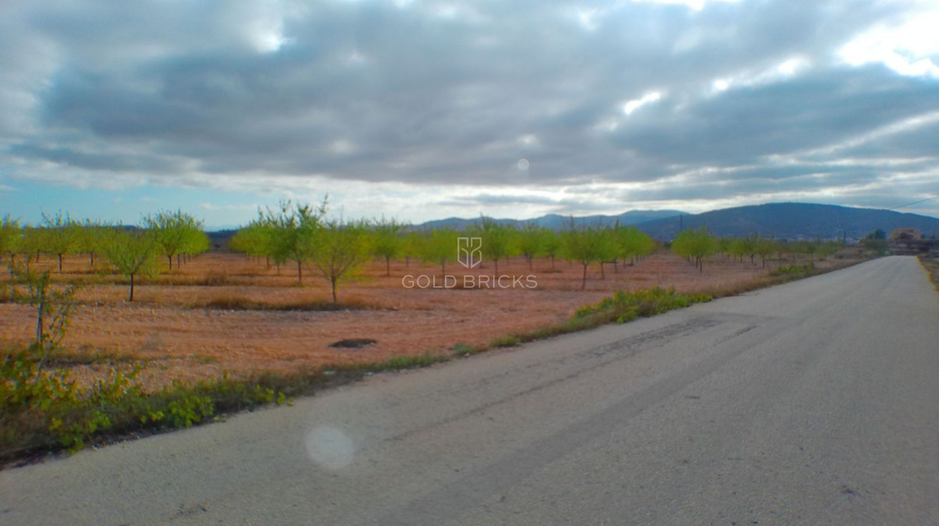 Plot - Residential Plot · Sale · Pinoso · Pinoso Centro