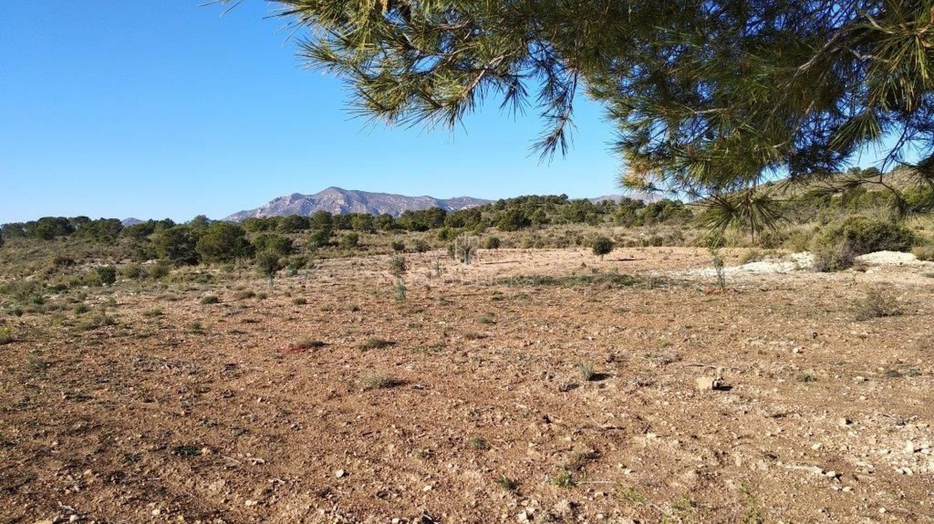 Plot - Residential Plot · Sale · Relleu · Relleu Centro