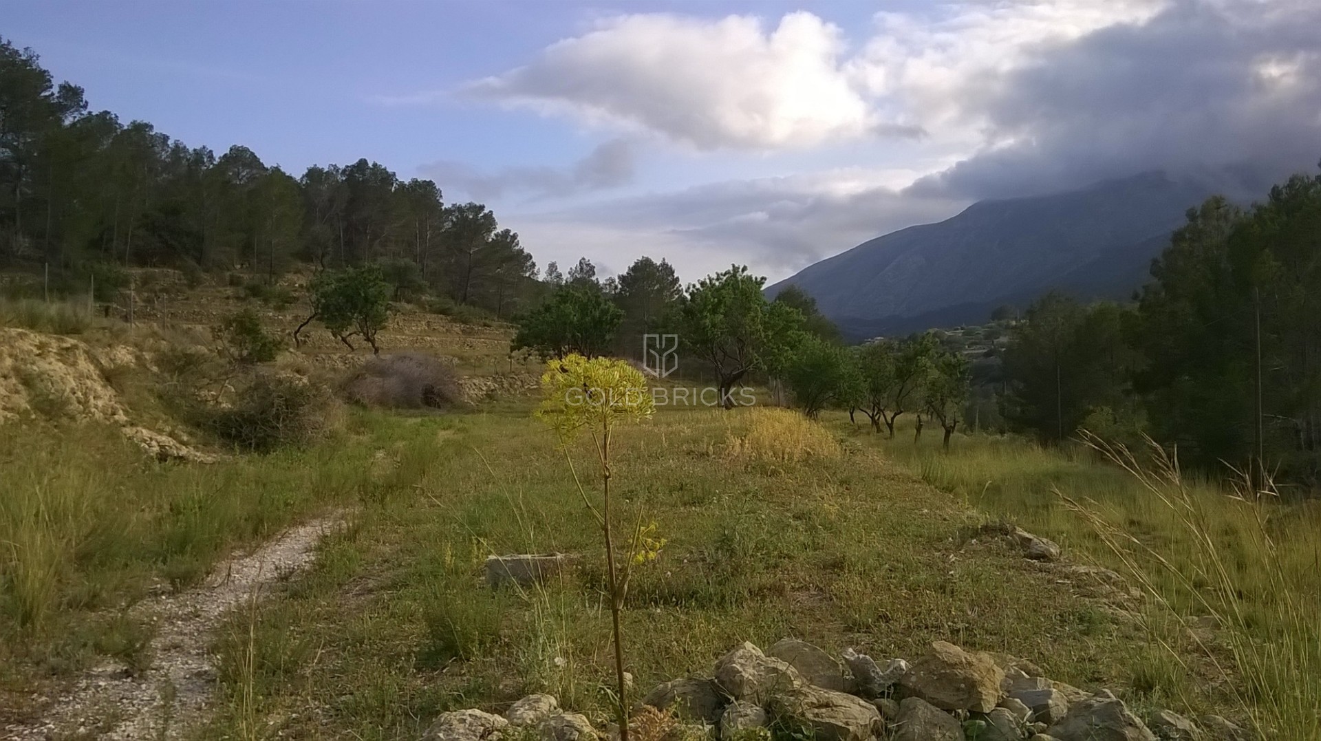 Plots and Land · Sale · Benissa · Benissa Campo