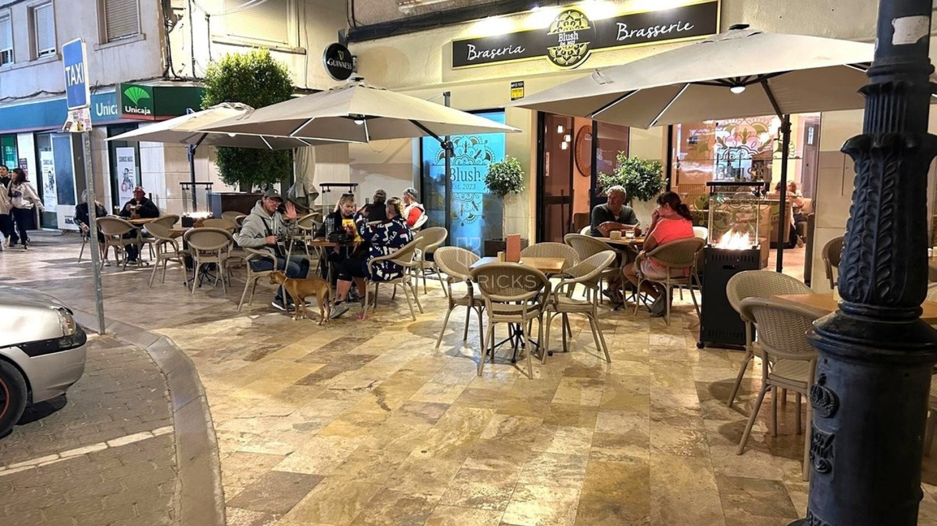  · Resale · Albox · Albox