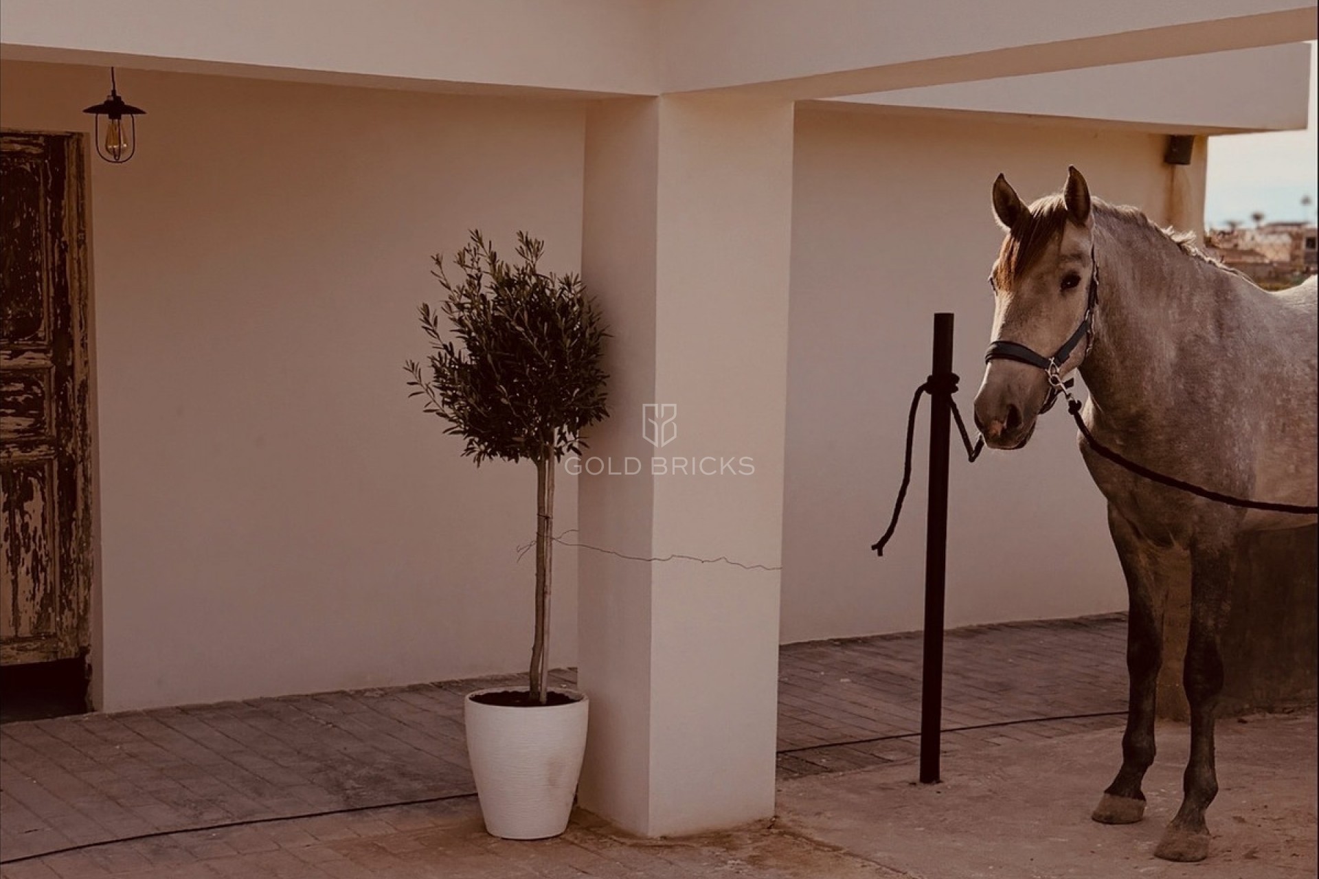 Resale ·  · Algorfa · Algorfa Centro