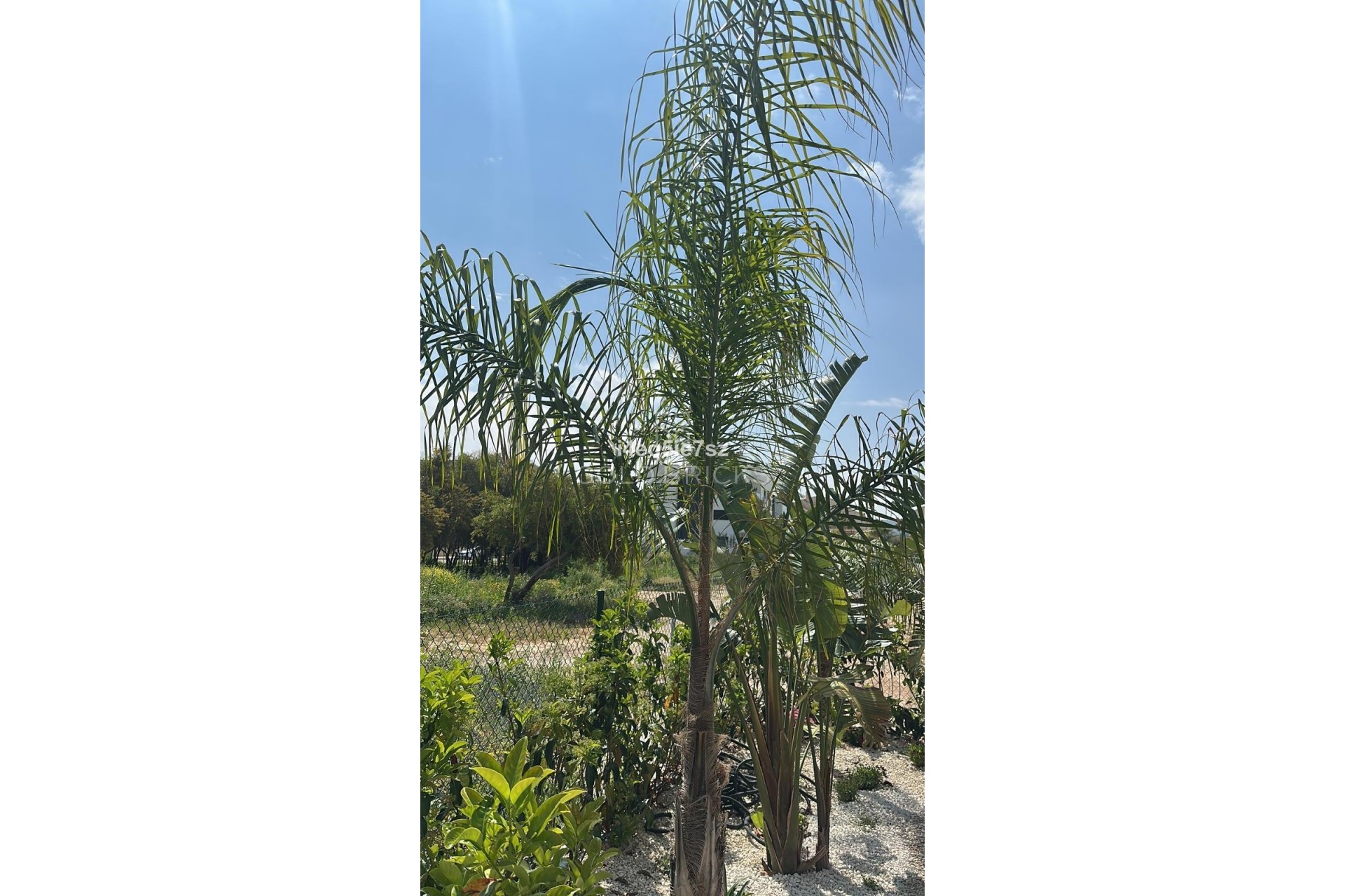 Resale ·  · Jávea - Xàbia · Jávea - Xàbia Centro