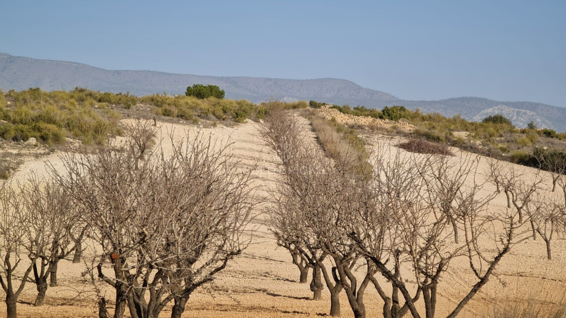  · Resale · Jumilla · Jumilla Centro