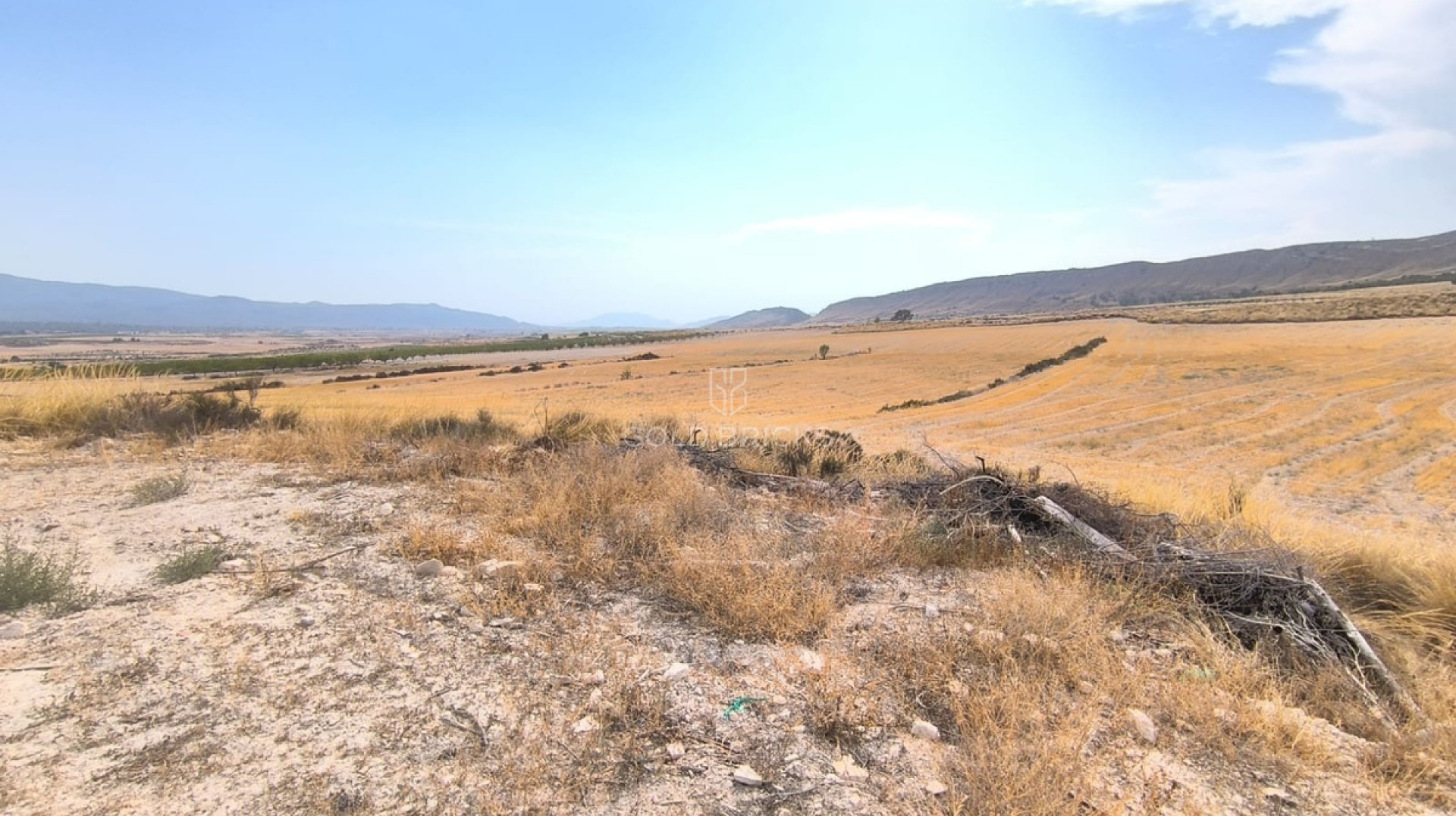  · Resale · Jumilla · Jumilla Centro