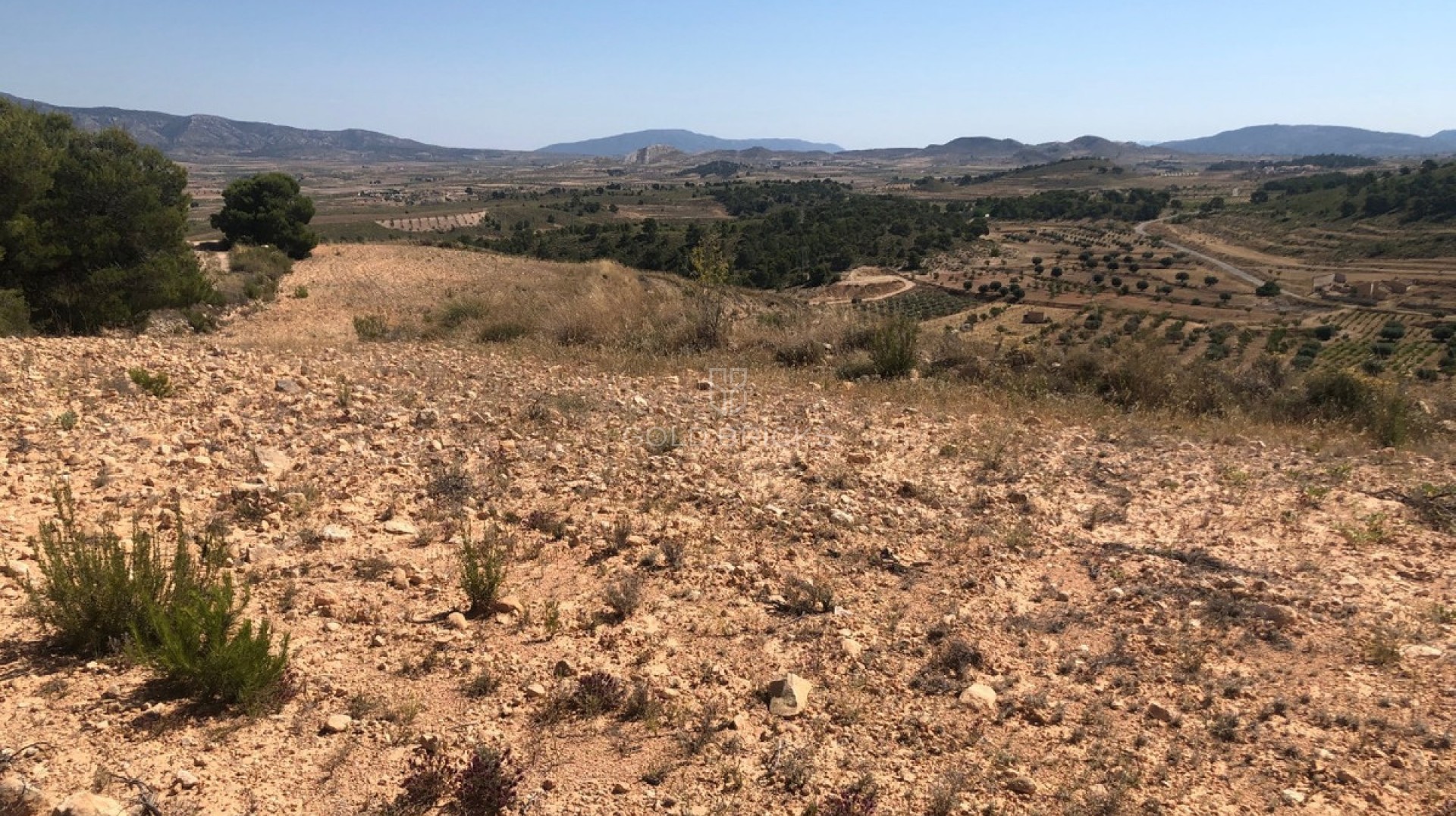  · Resale · Jumilla · La Zarza