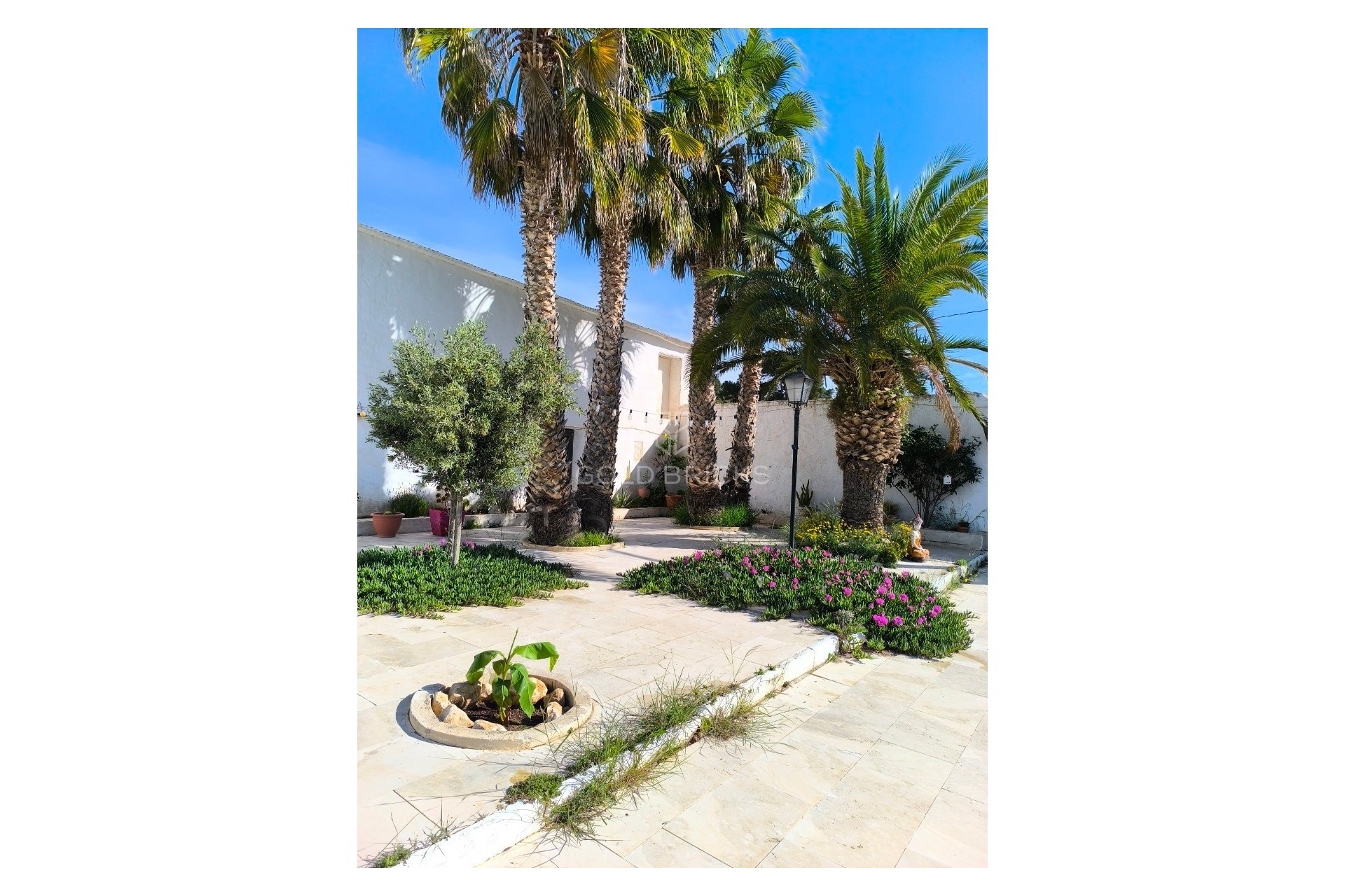 Resale ·  · Jumilla · Torre del Rico