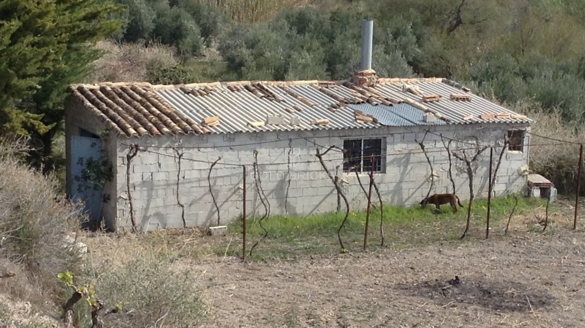  · Resale · Lucar · Lucar