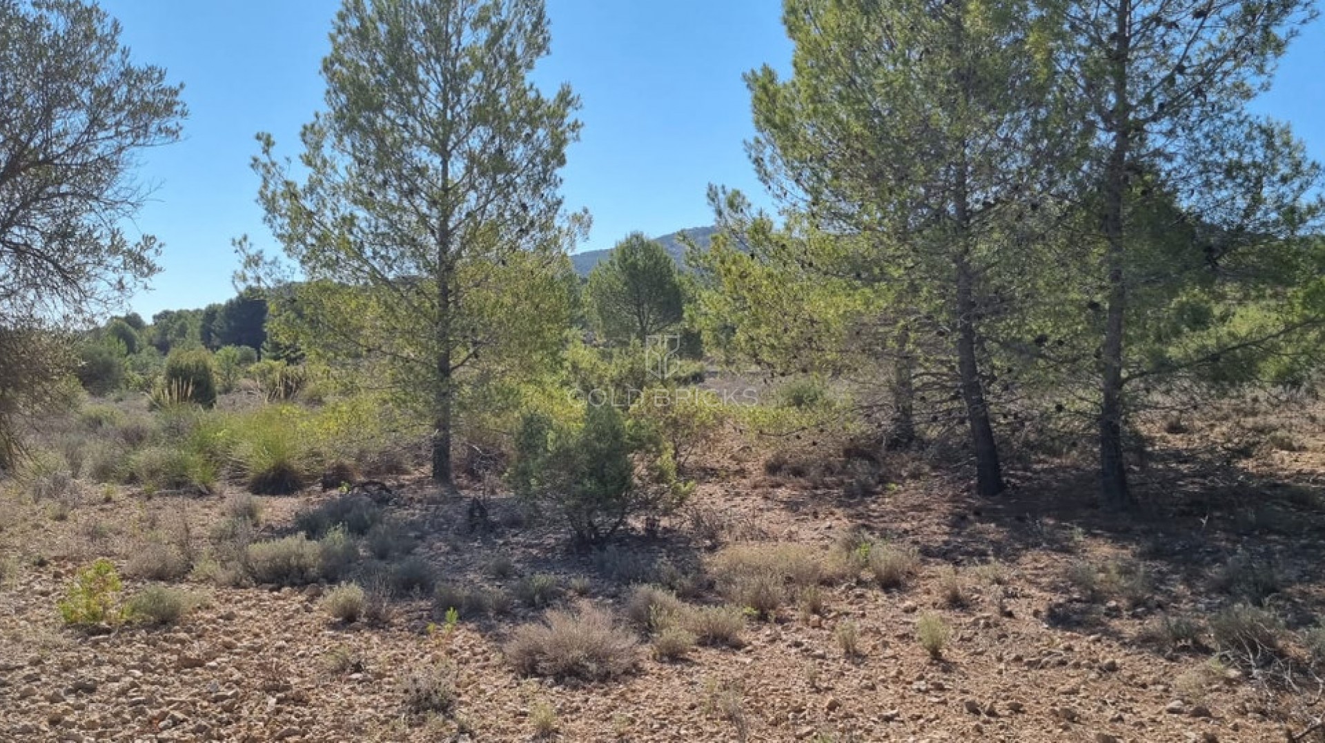  · Resale · Monóvar - Monòver · Casas del Señor