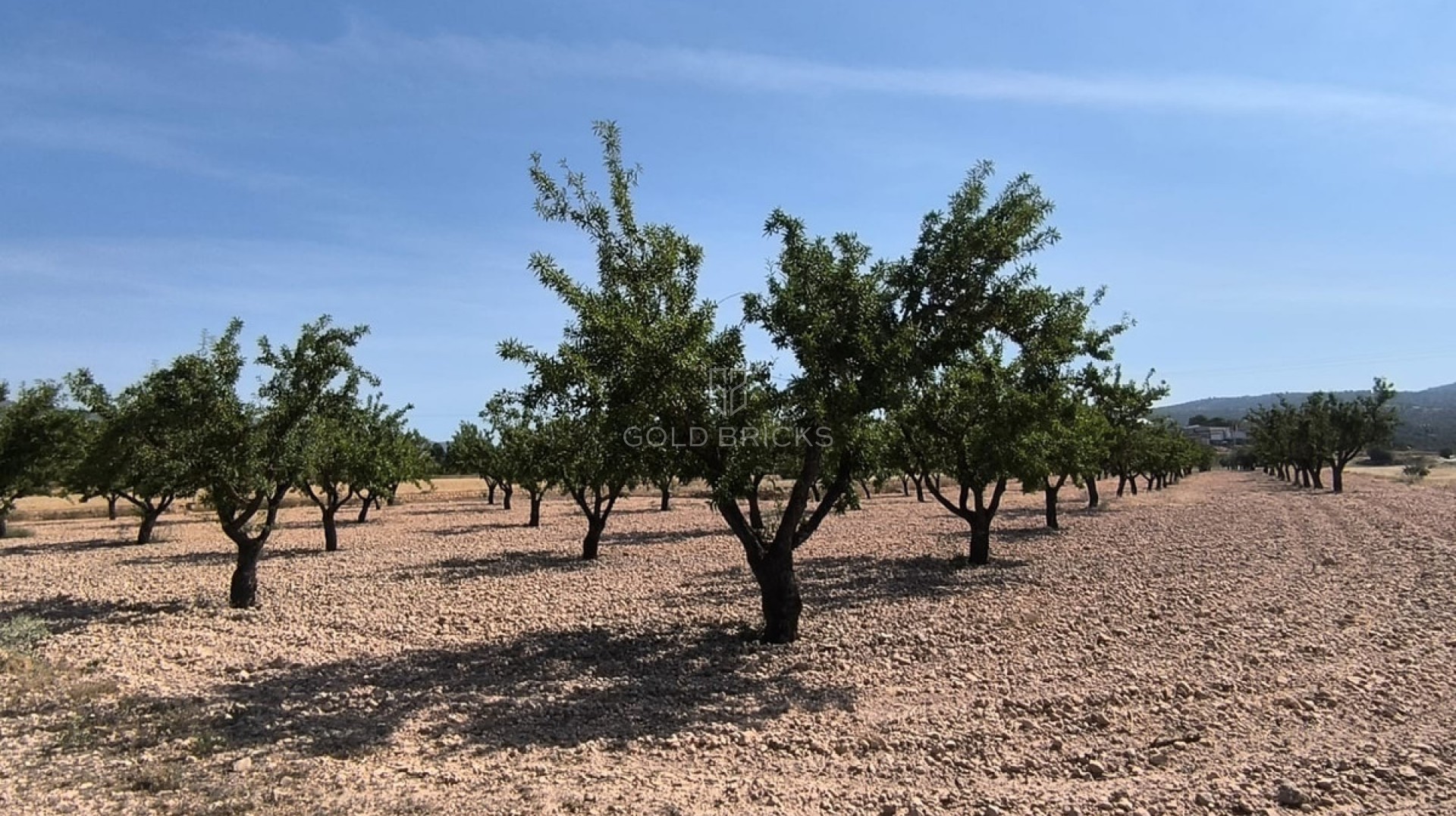  · Resale · Monóvar - Monòver · Monóvar - Monòver Centro