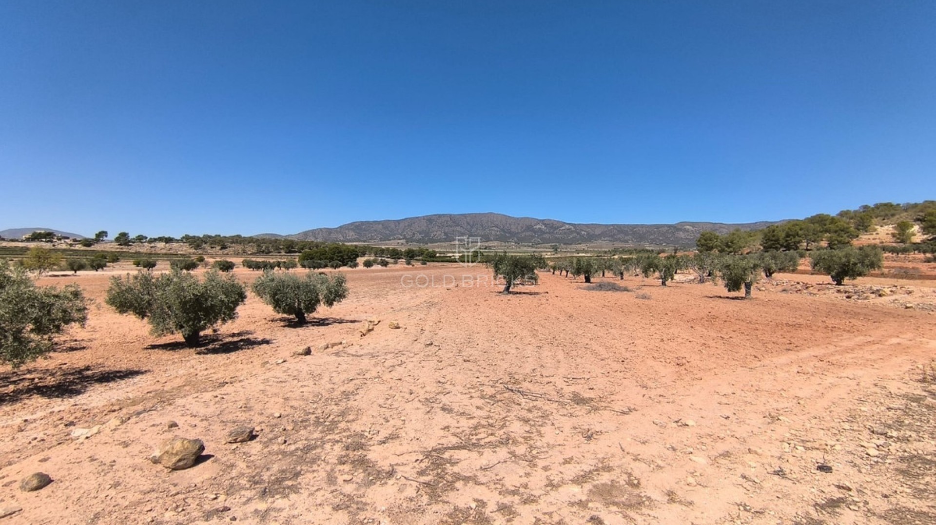  · Resale · Monóvar - Monòver · Monóvar - Monòver Centro