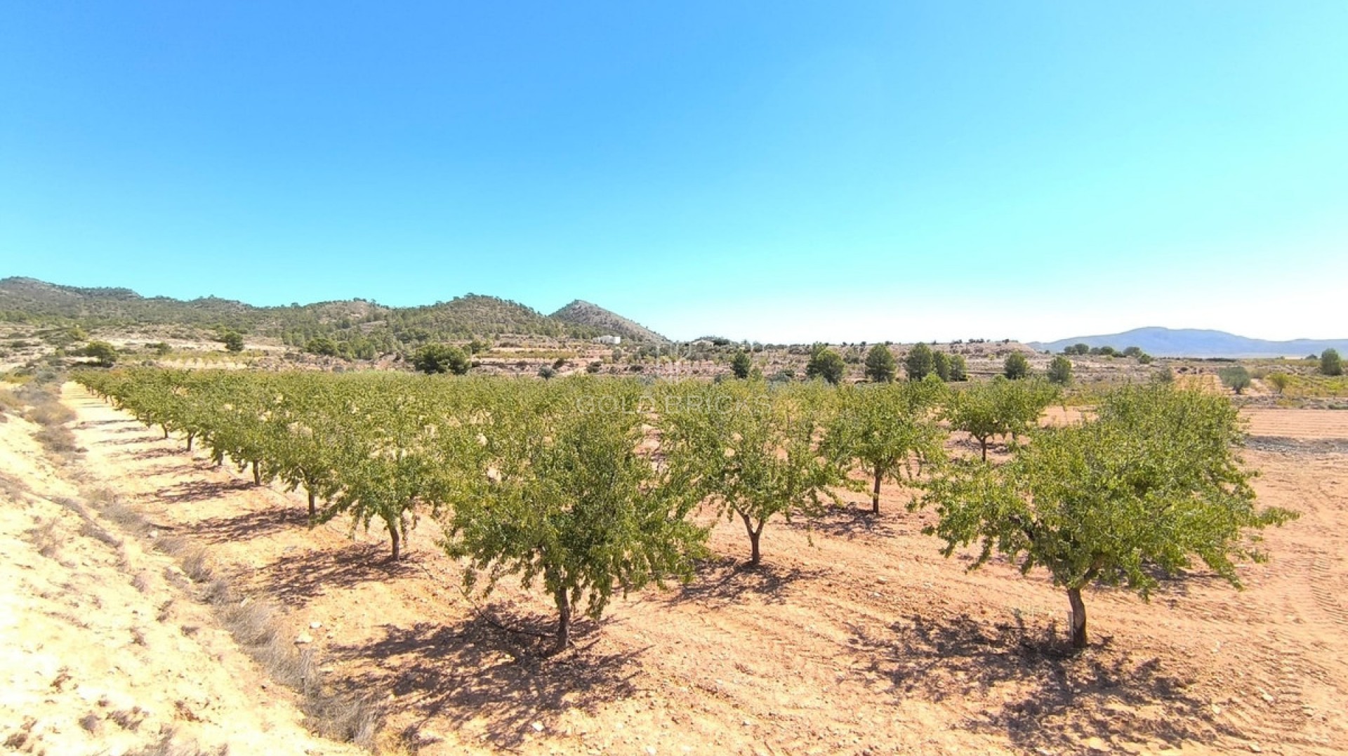  · Resale · Monóvar - Monòver · Monóvar - Monòver Centro