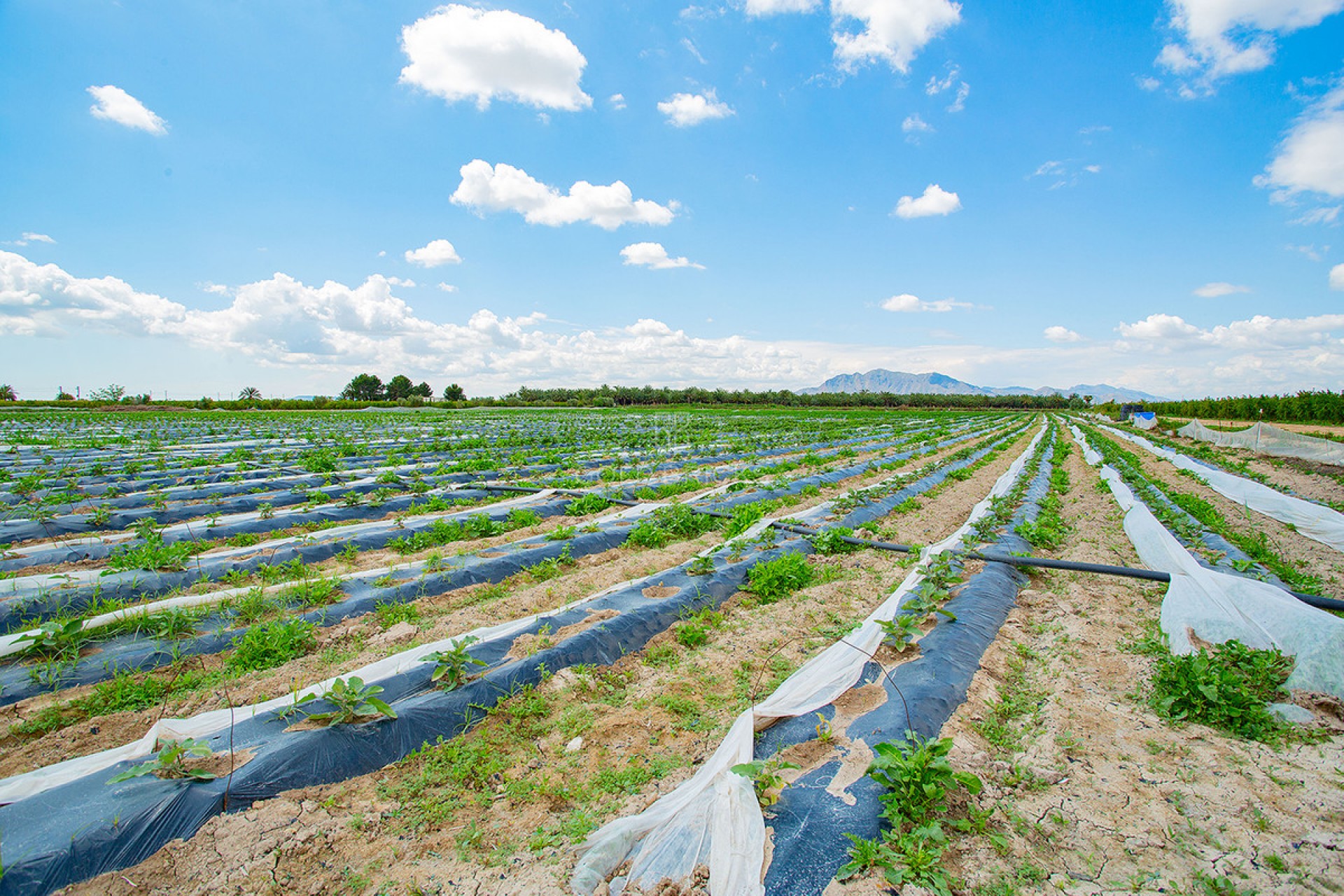 Resale ·  · San Isidro · San Isidro Centro
