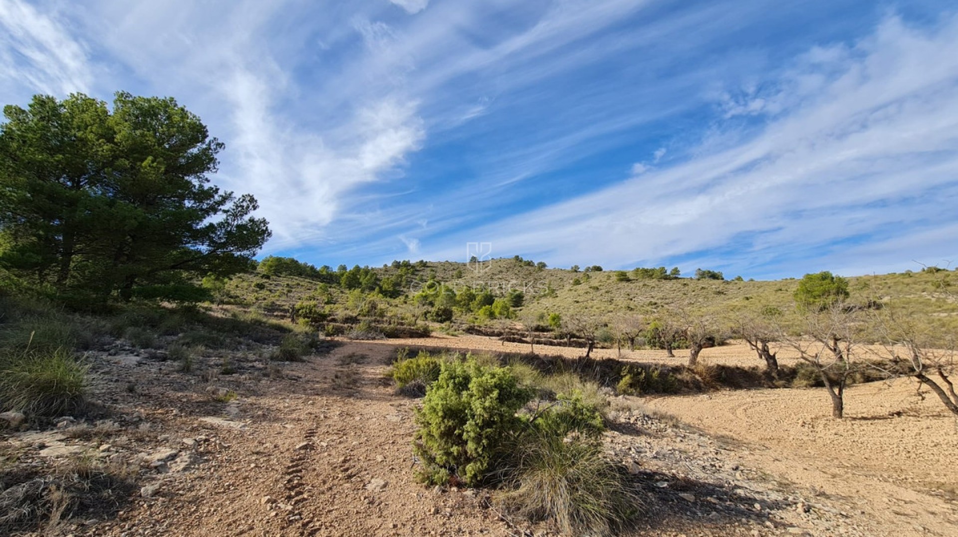  · Resale · Yecla · Raspay