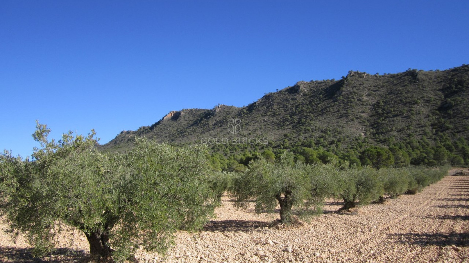  · Resale · Yecla · Yecla Centro