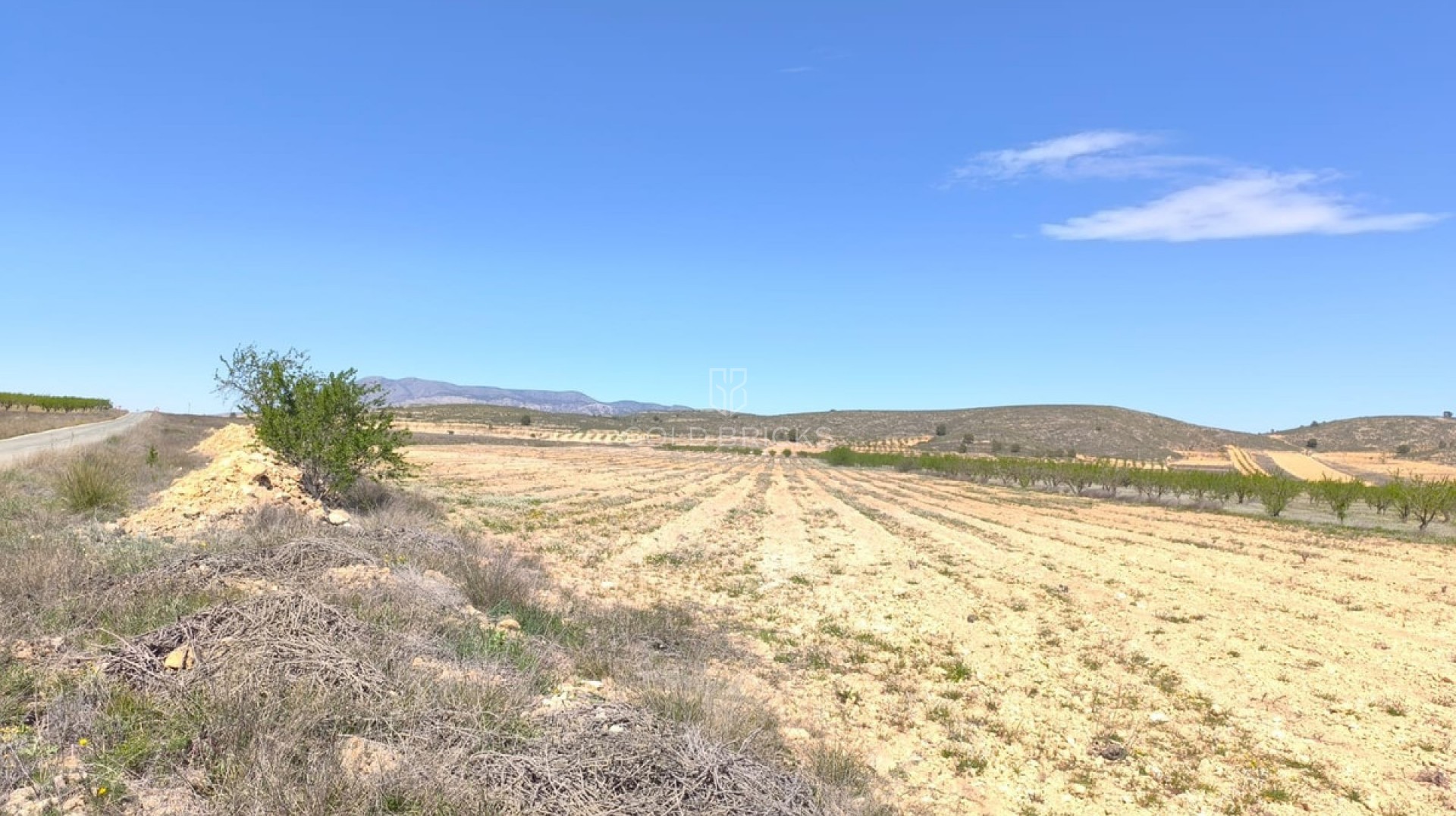  · Revente · Abanilla · Cañada de la Leña