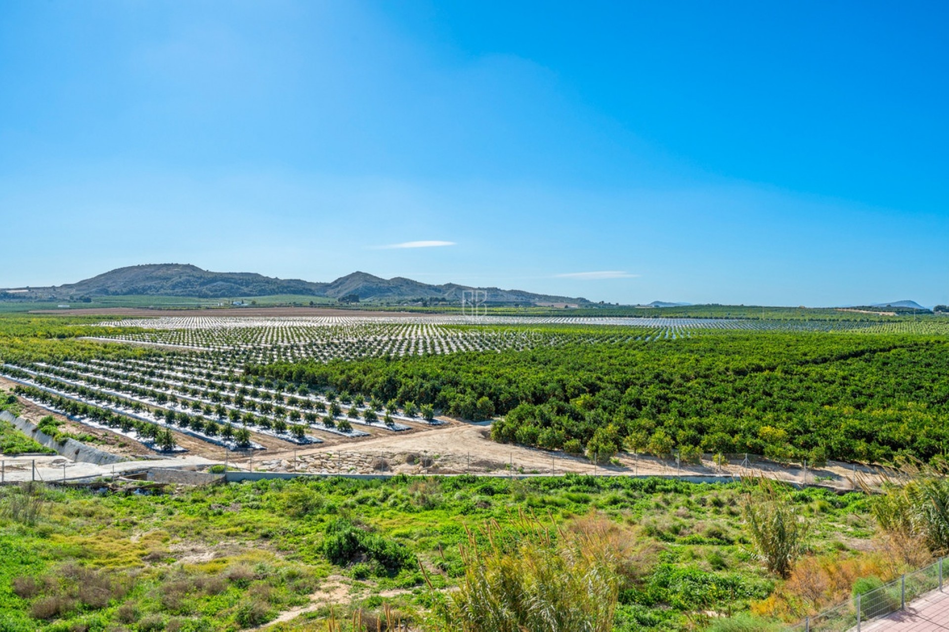 Revente ·  · Algorfa · Algorfa Centro