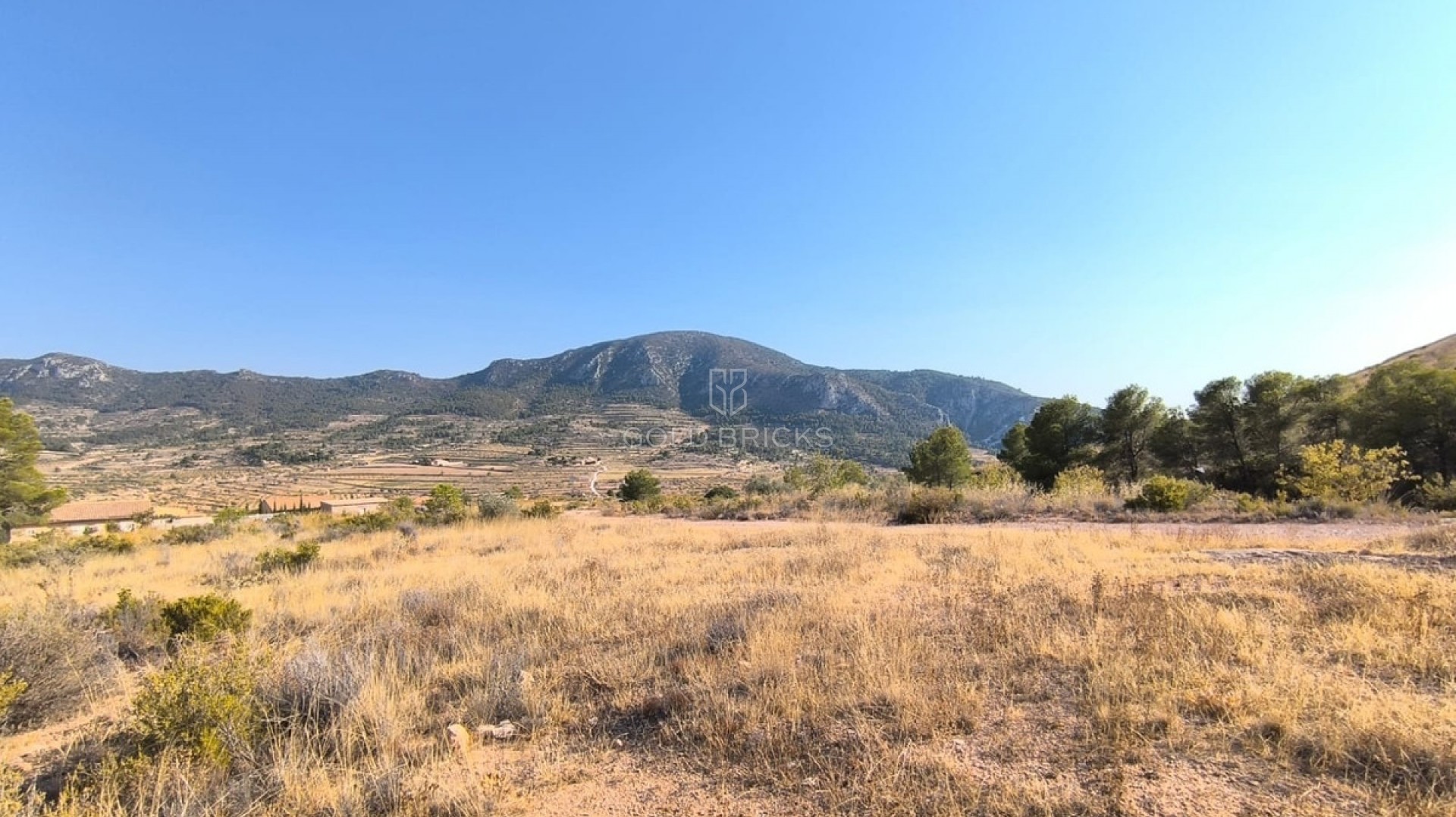  · Revente · Algueña · Algueña