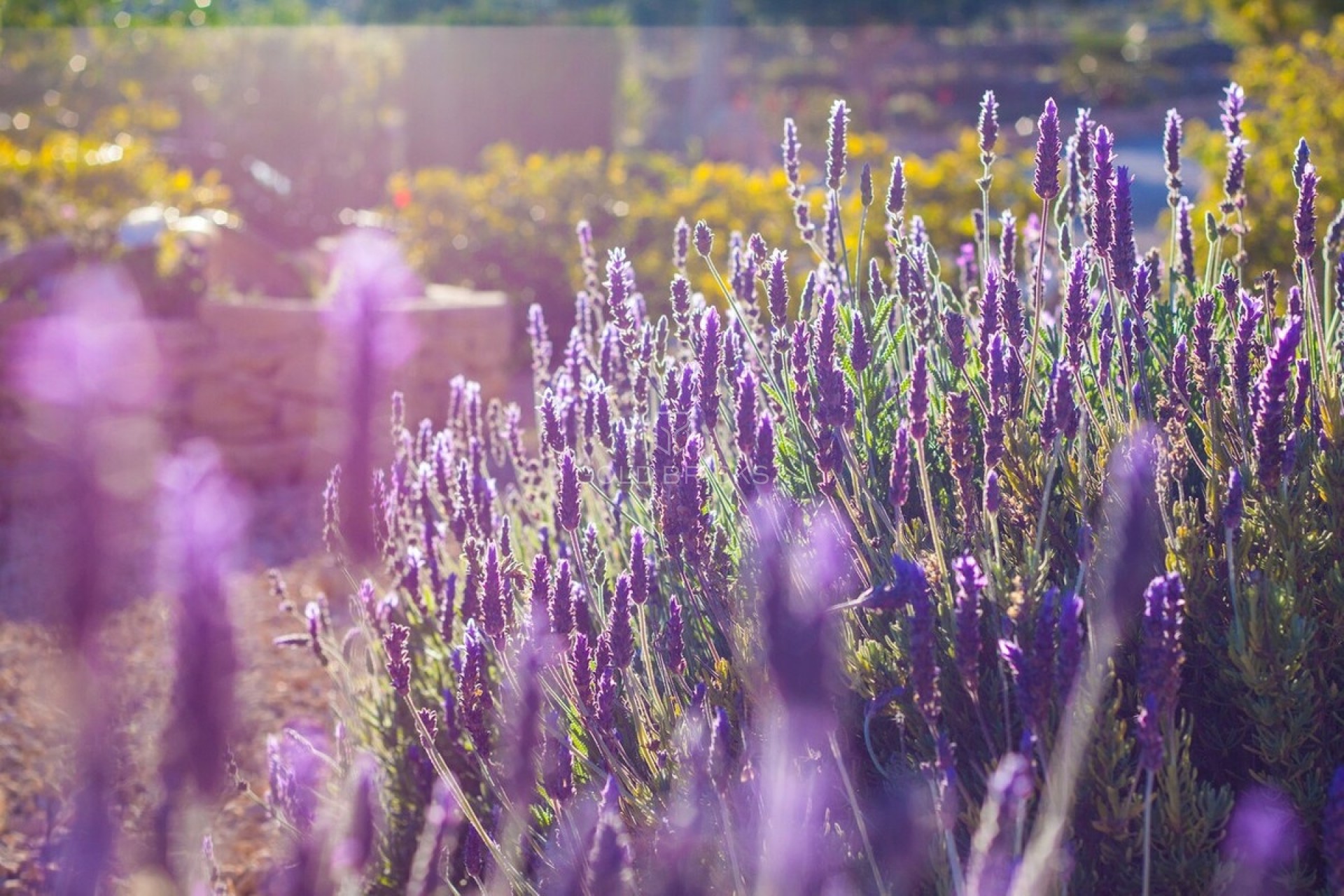 Revente ·  · Benissa · Benissa Centro