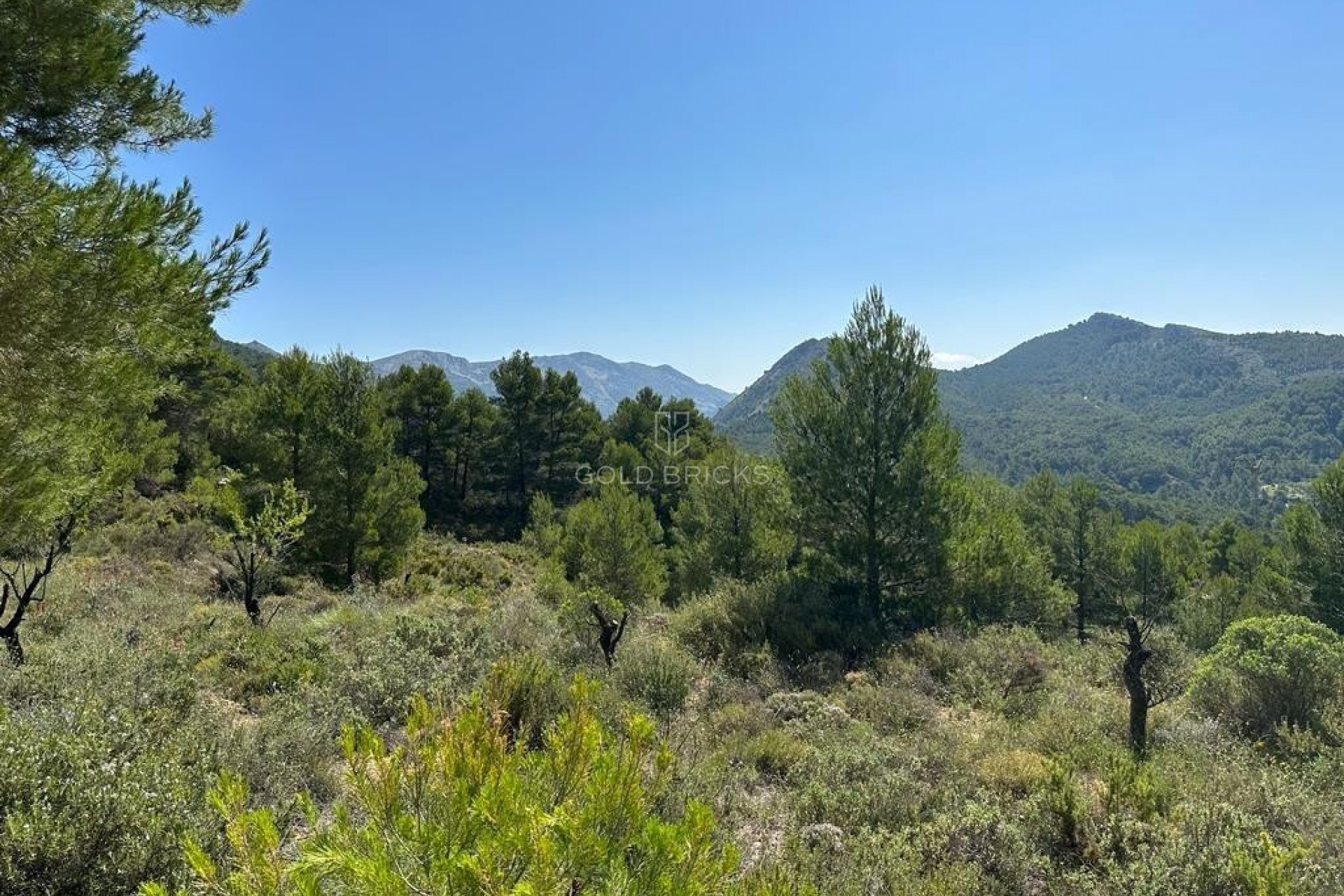 Revente ·  · Confrides · Confrides Centro