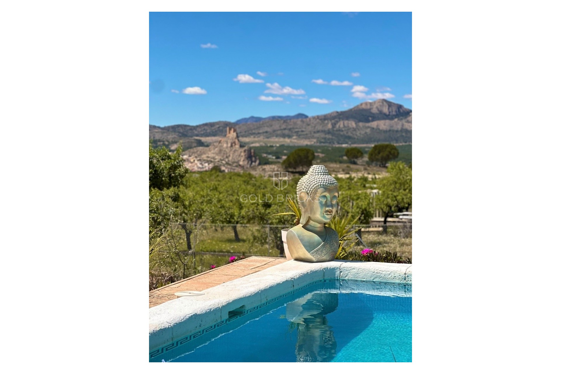 Revente · Finca / Propriété de campagne · Sax · Sax Centro
