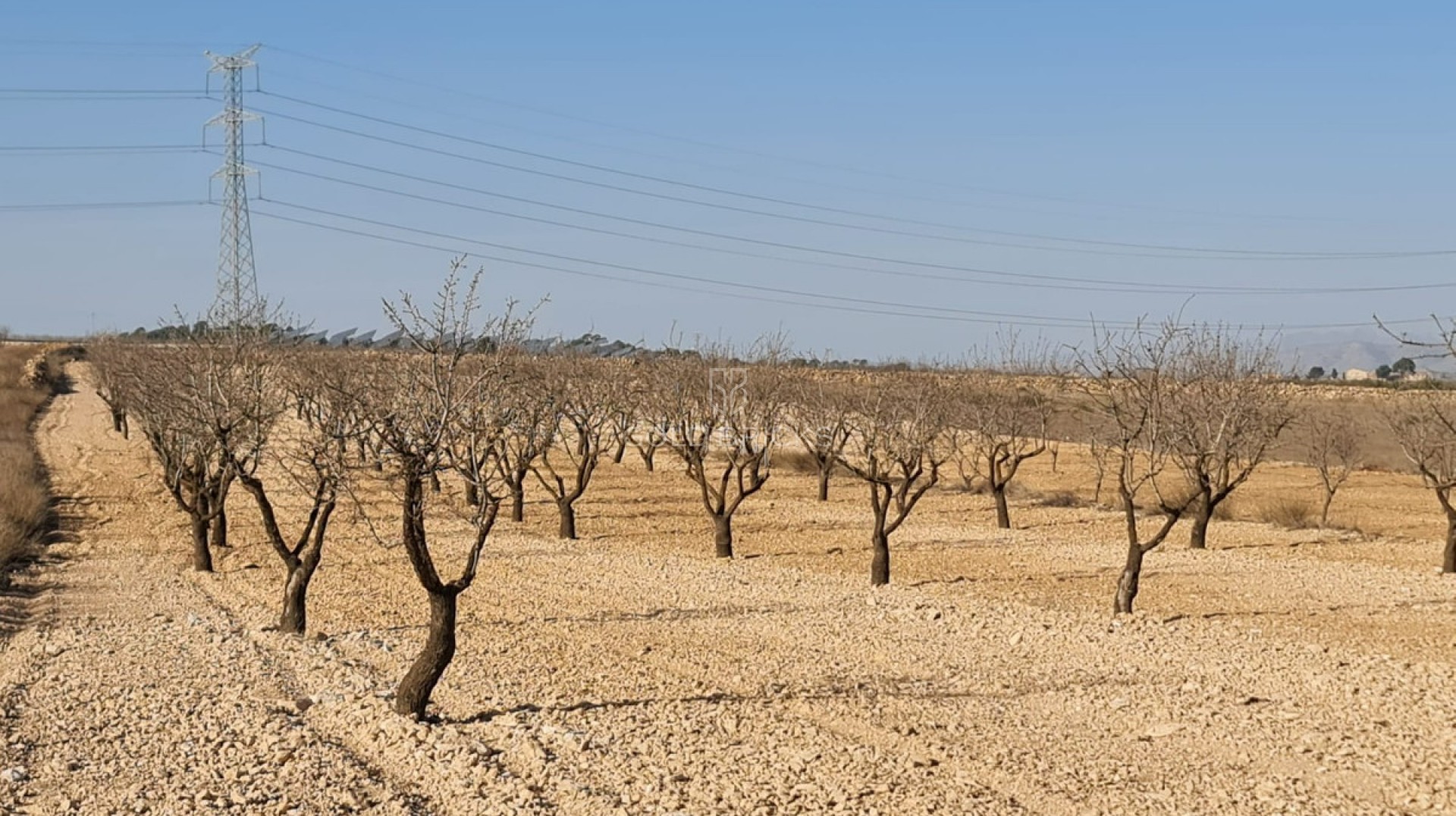  · Revente · Jumilla · Jumilla Centro