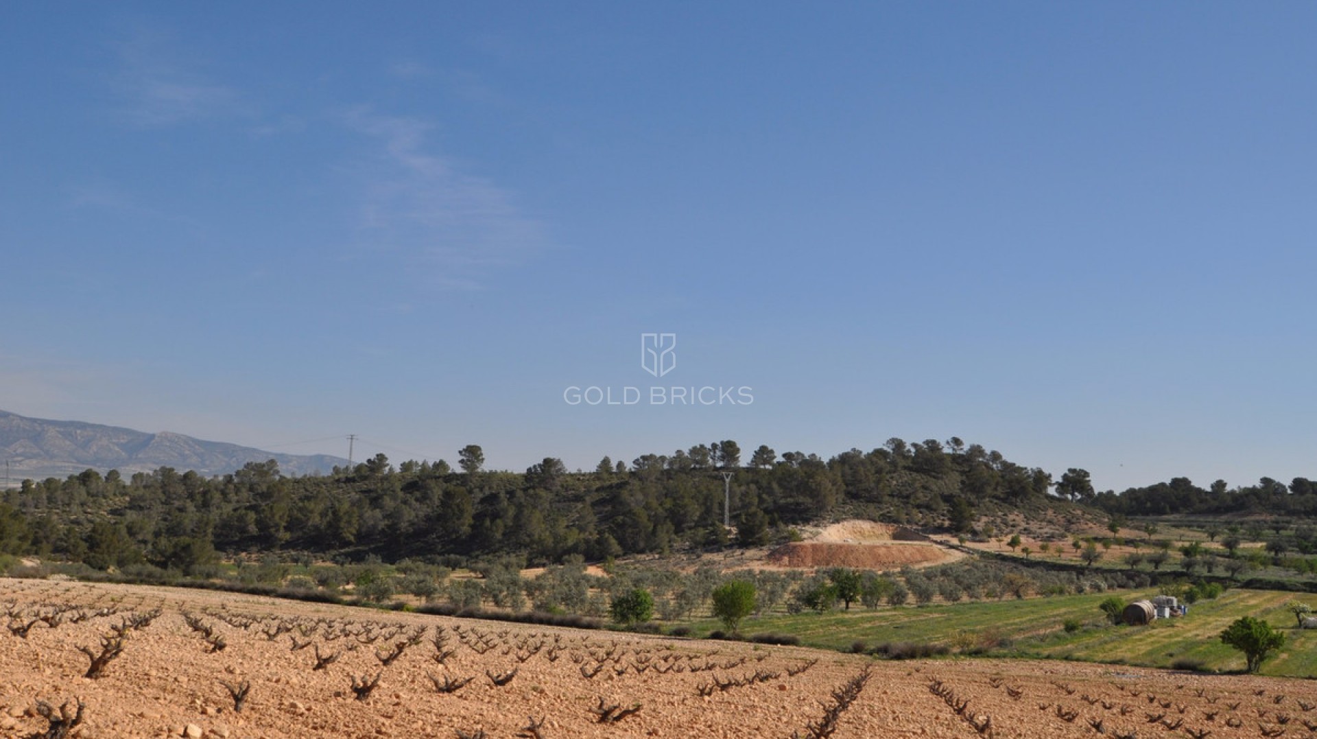  · Revente · Jumilla · La Zarza