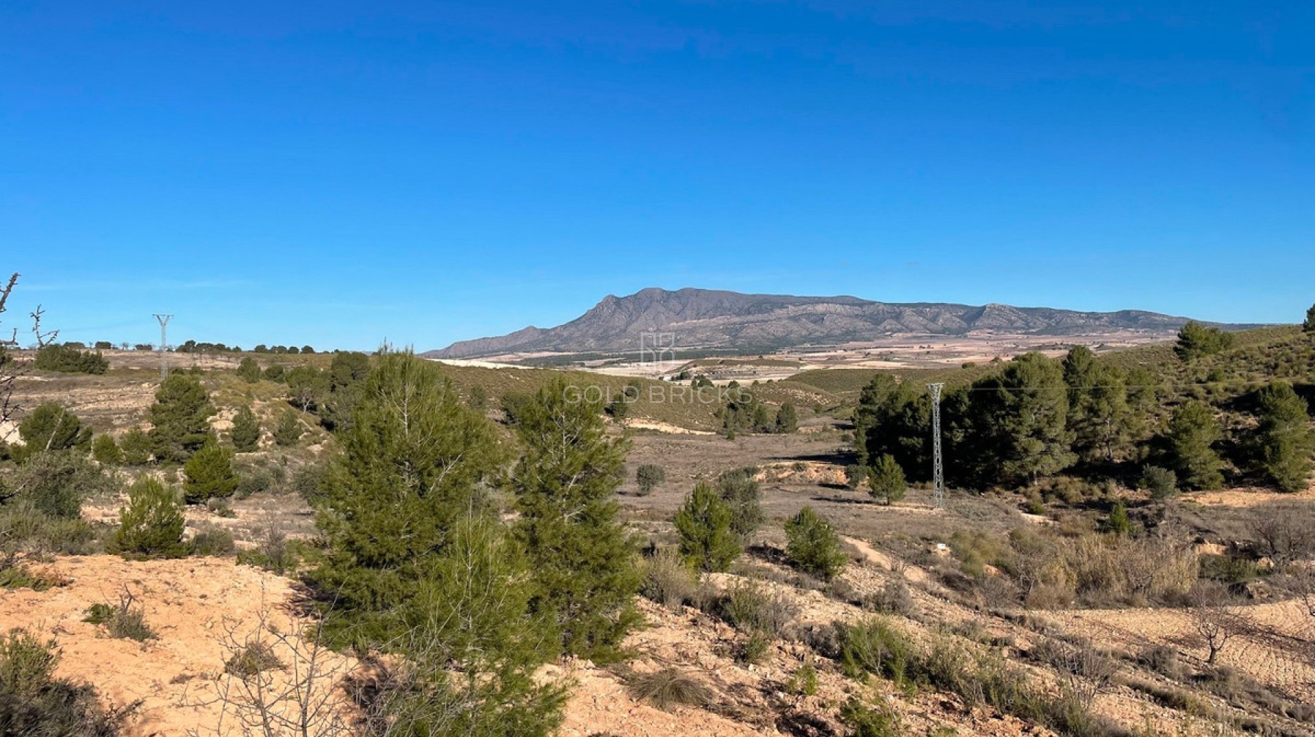  · Revente · Jumilla · La Zarza