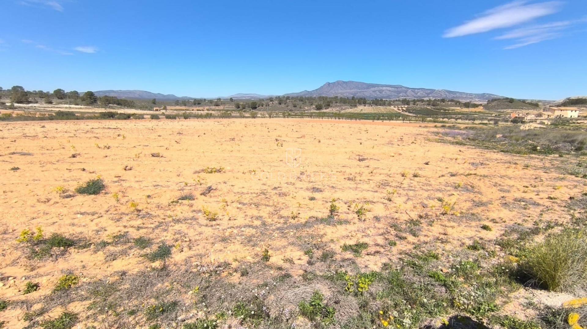  · Revente · Jumilla · La Zarza