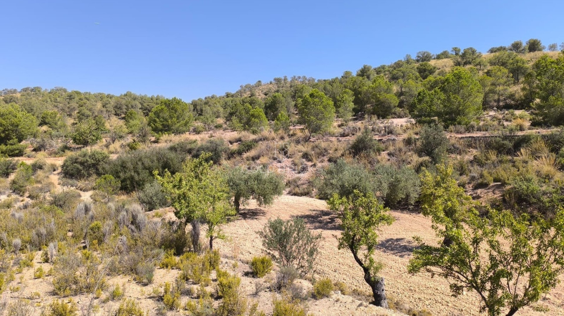  · Revente · Monóvar - Monòver · Monóvar - Monòver Centro