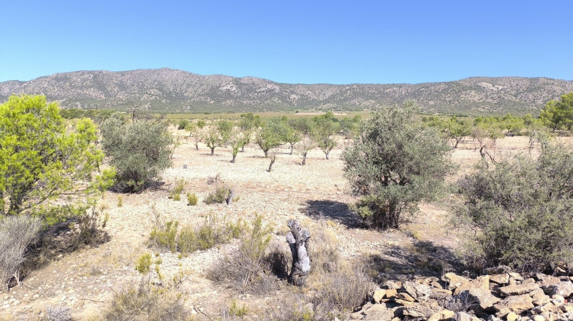  · Revente · Monóvar - Monòver · Monóvar - Monòver Centro