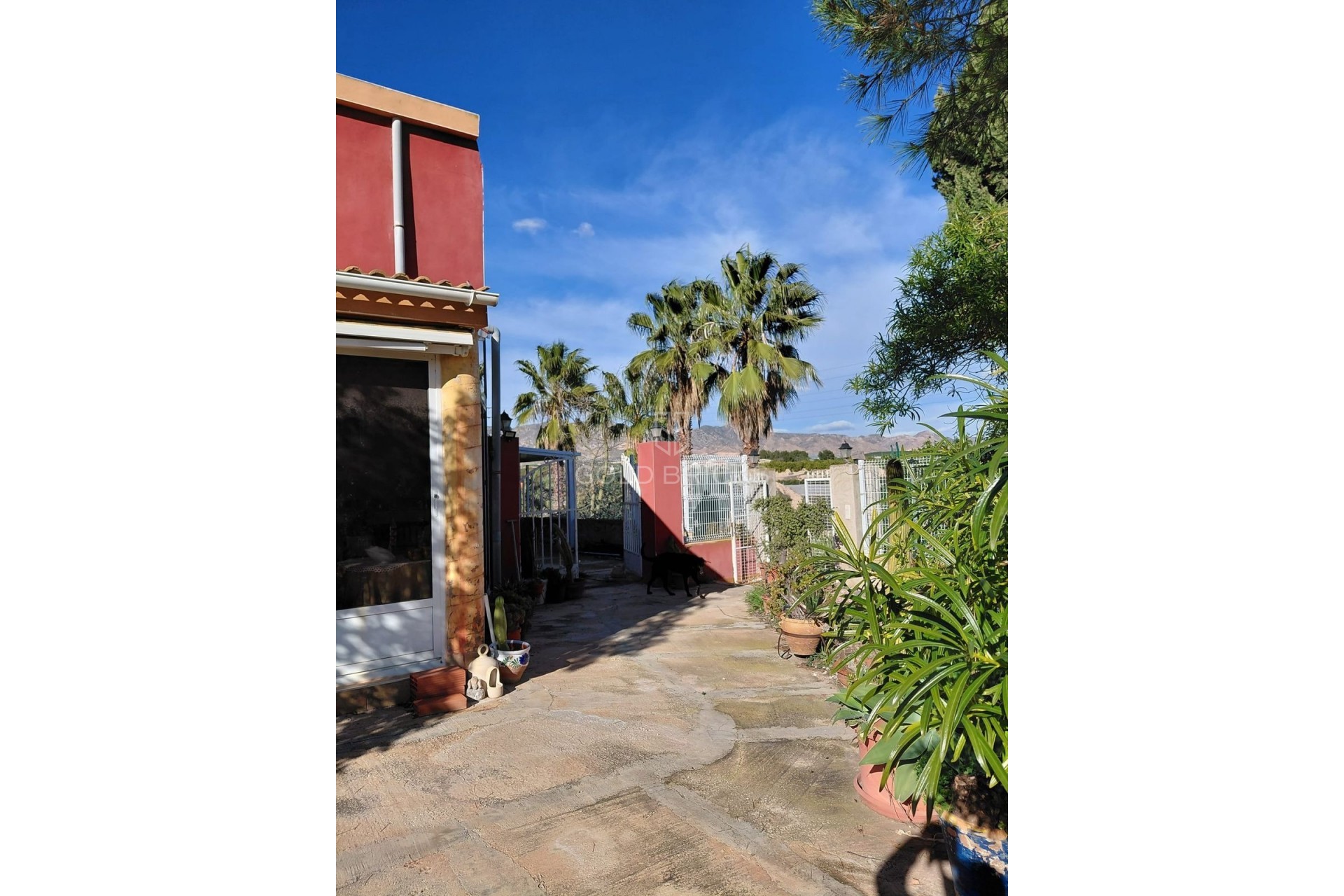 Revente ·  · Orihuela · La Murada