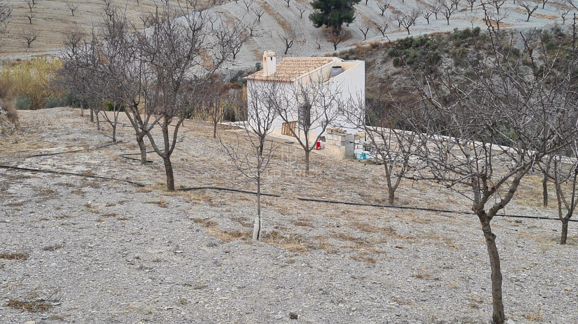  · Revente · Velez-Rubio · Velez-Rubio