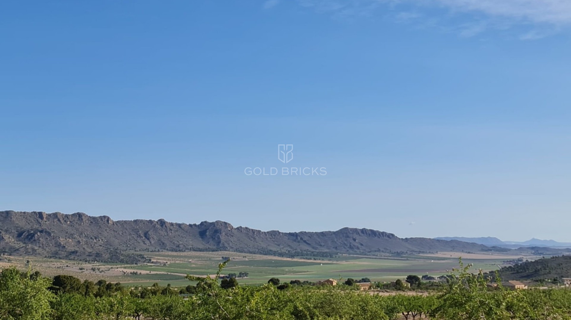  · Revente · Yecla · Raspay