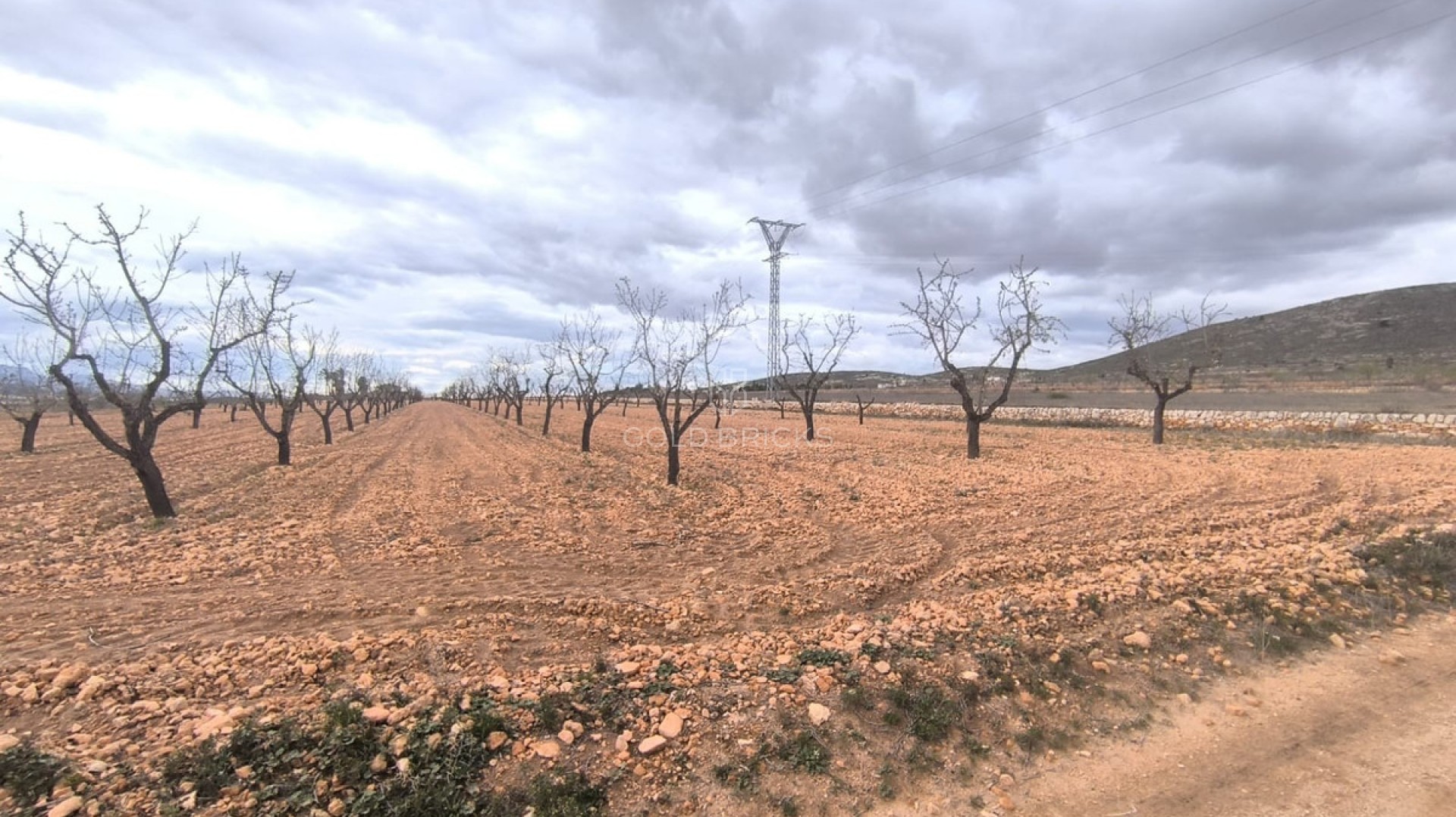  · Revente · Yecla · Raspay