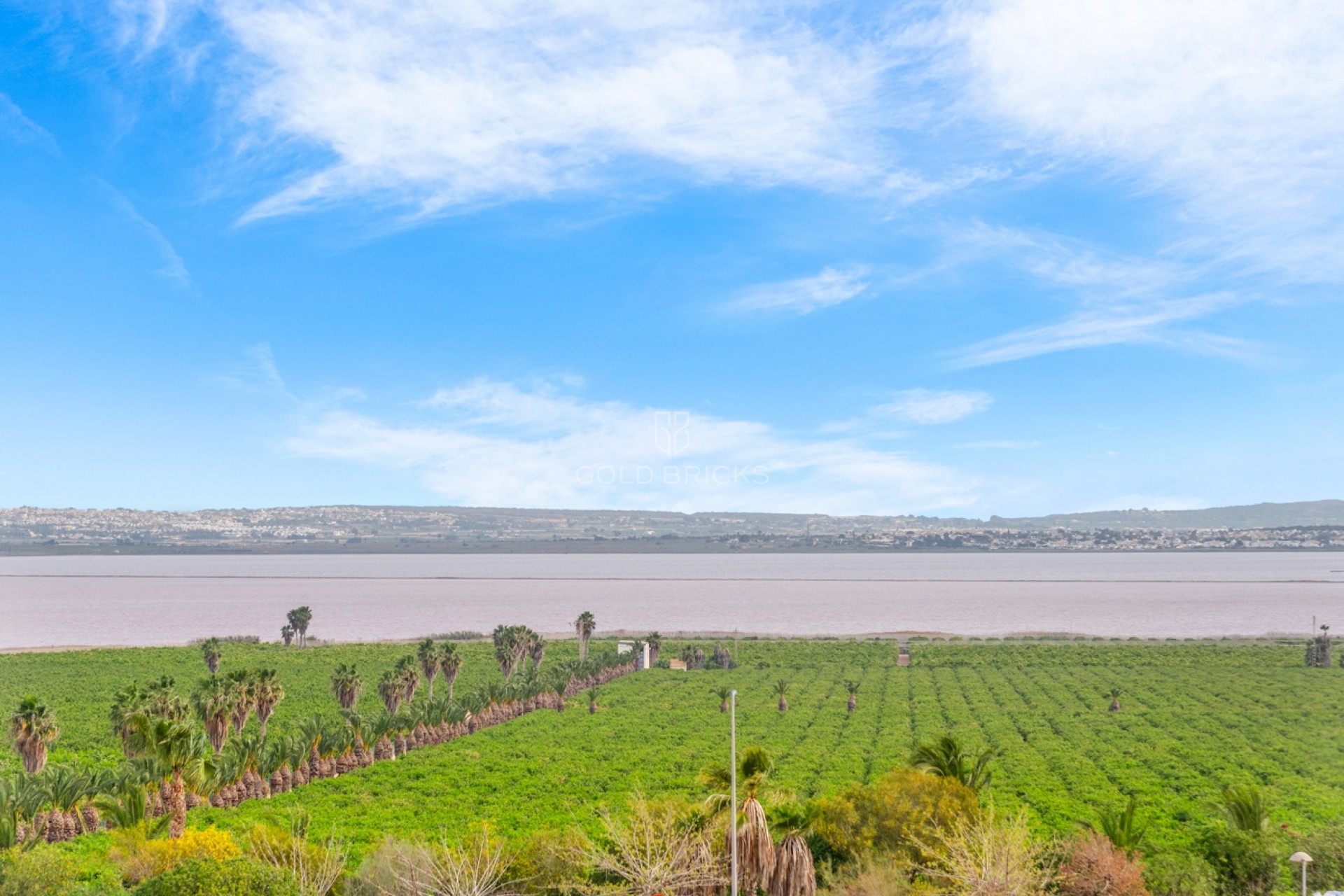 Sale · Apartment - Ground Floor Apartment · Los Balcones