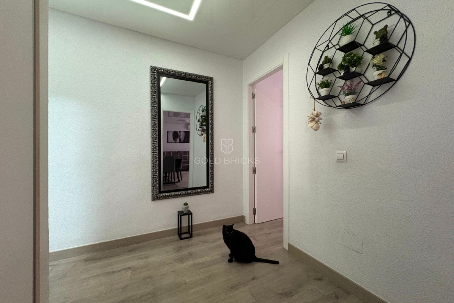 Sale · Apartment - Ground Floor Apartment · Torrevieja · Torrevieja Centro