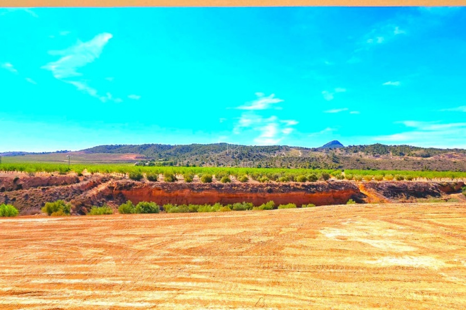 Sale · House - Detached Villa · Abanilla · Macisvenda