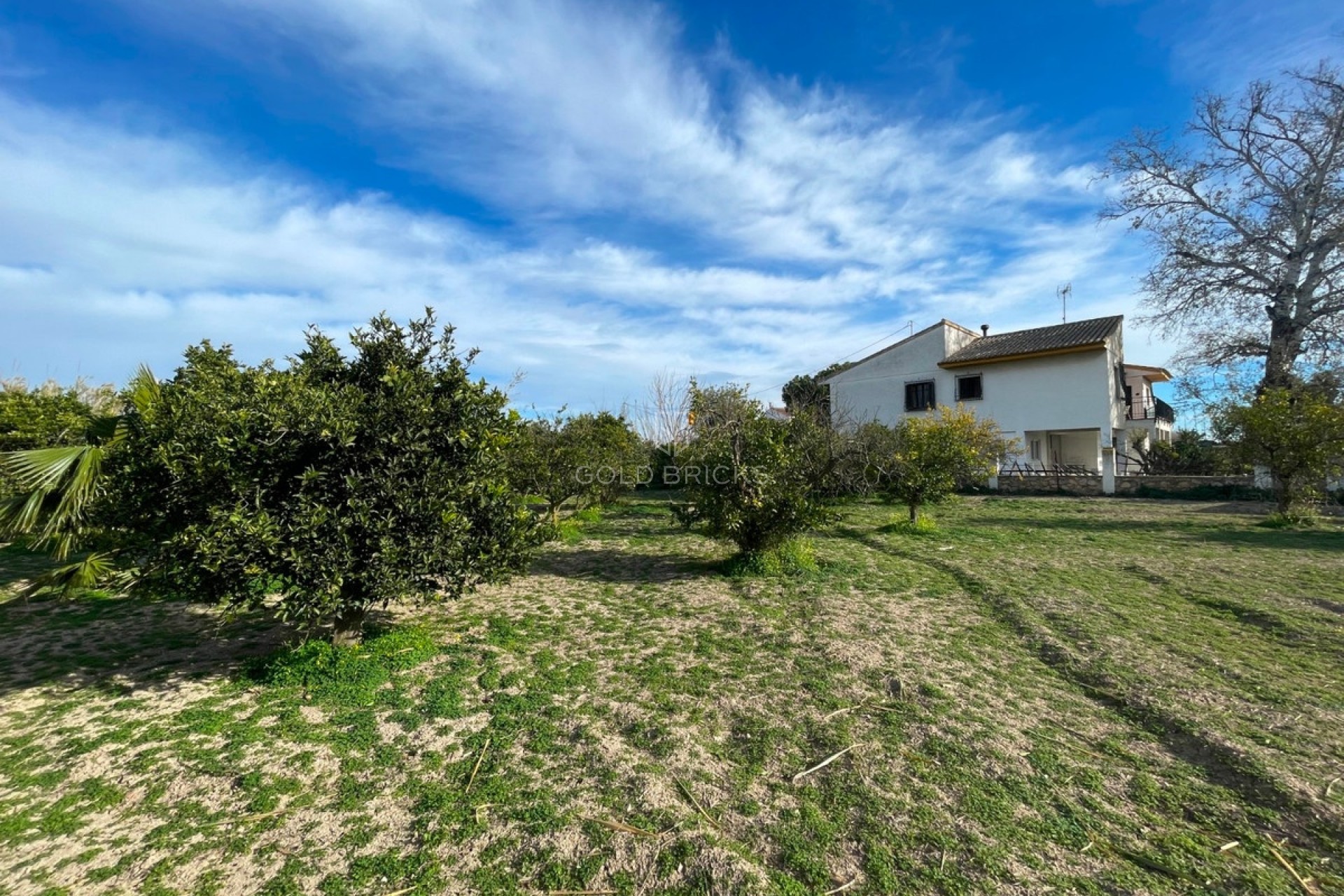 Sale · House - Detached Villa · Benejúzar · Benejuzar Centro