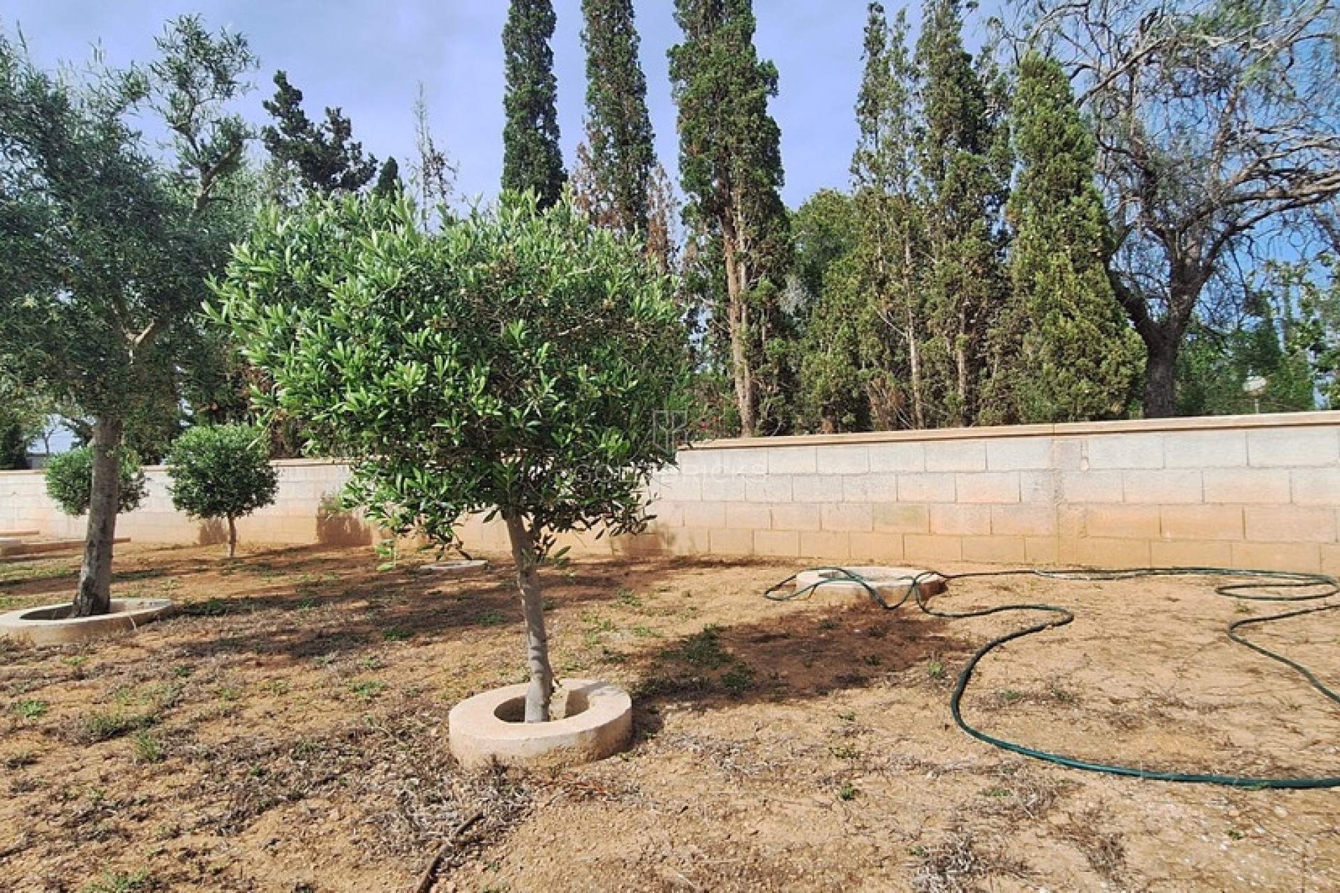 Sale · House - Detached Villa · Elche · Elche Centro