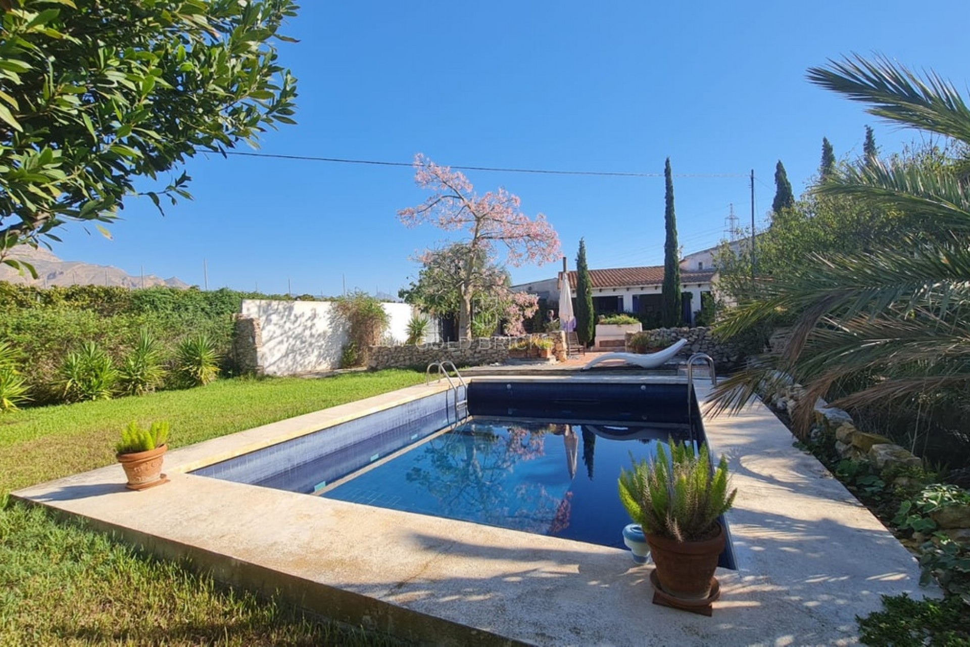 Sale · House - Detached Villa · Monforte del Cid · Monforte del Cid Centro