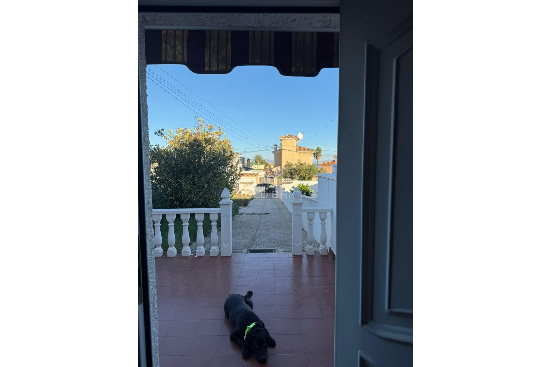 Sale · House - Detached Villa · Orihuela · Los Balcones