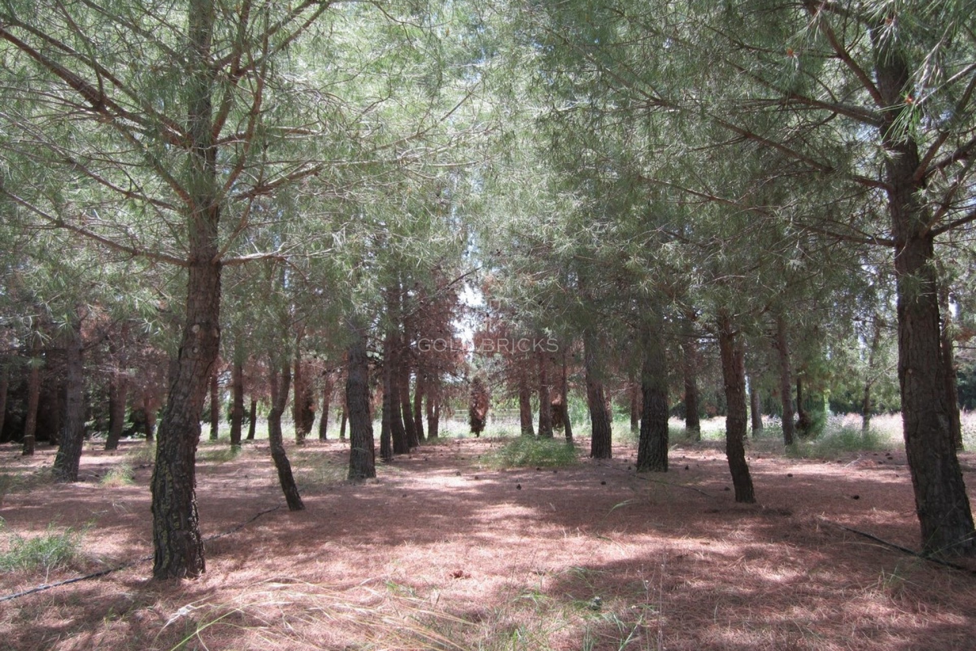 Sale · House - Detached Villa · Yecla · Yecla Centro